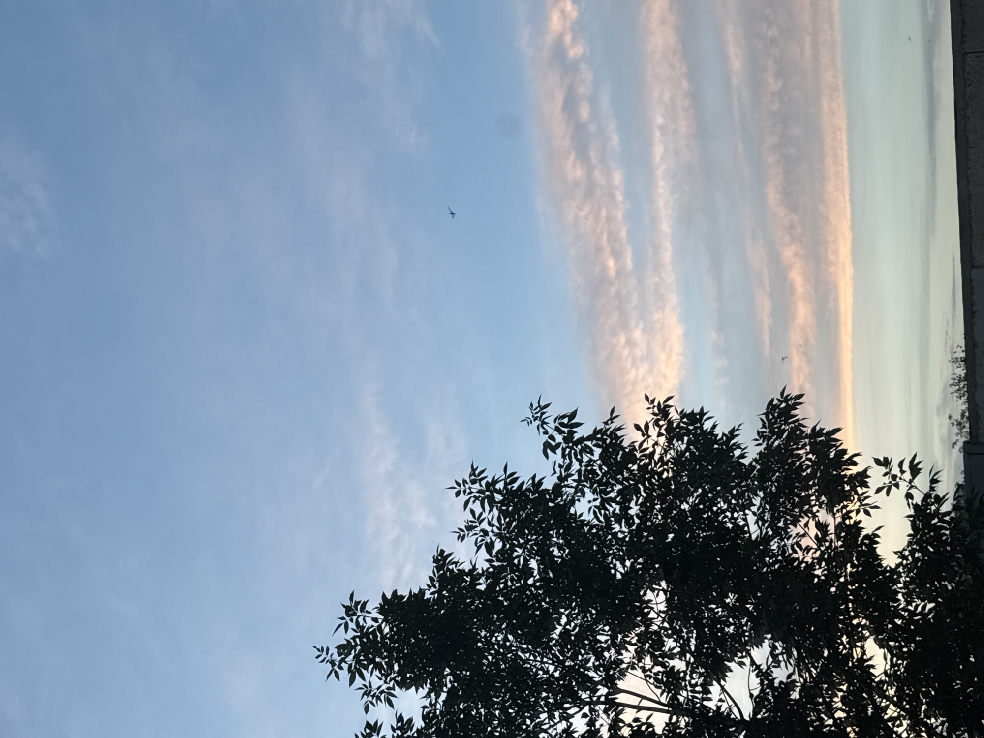 The image depicts a silhouette of a tree on the left against a sky filled with clouds. The sky transitions from a light blue at the top to softer pastel hues of pink and white lower down, suggesting either sunrise or sunset. A small airplane is visible in the upper right quadrant of the sky. In the lower portion of the image, a grey structure, possibly a building or wall, is visible, indicating an urban environment. The location is specified as Orenburg, Russia.