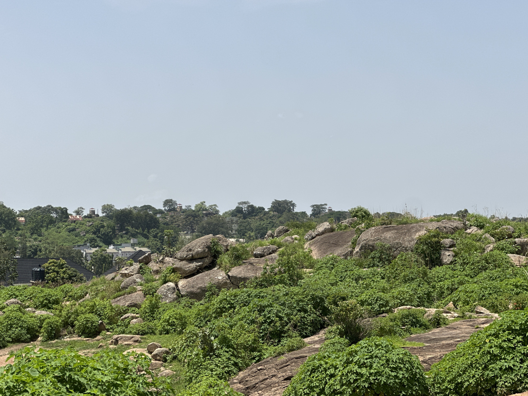 The image depicts a hilly, rocky landscape with lush green vegetation covering the slopes. Several large granite boulders are scattered across the terrain, some appearing weathered and cracked. Dense bushes and trees form a thick carpet over the rocks and ground. In the middle ground and background, structures of a settlement are visible, with houses and buildings nestled amongst the trees. The architecture suggests a residential area, with some buildings featuring red-tiled roofs and modern designs. The sky above is a pale, overcast blue. The scene is a natural landscape interspersed with human habitation, likely located in or around the city of Jos, Nigeria, known for its rocky topography and vegetation. There are no people or animals visible in the image, and no actions or interactions are taking place. The overall environment is one of natural beauty with evidence of human presence.