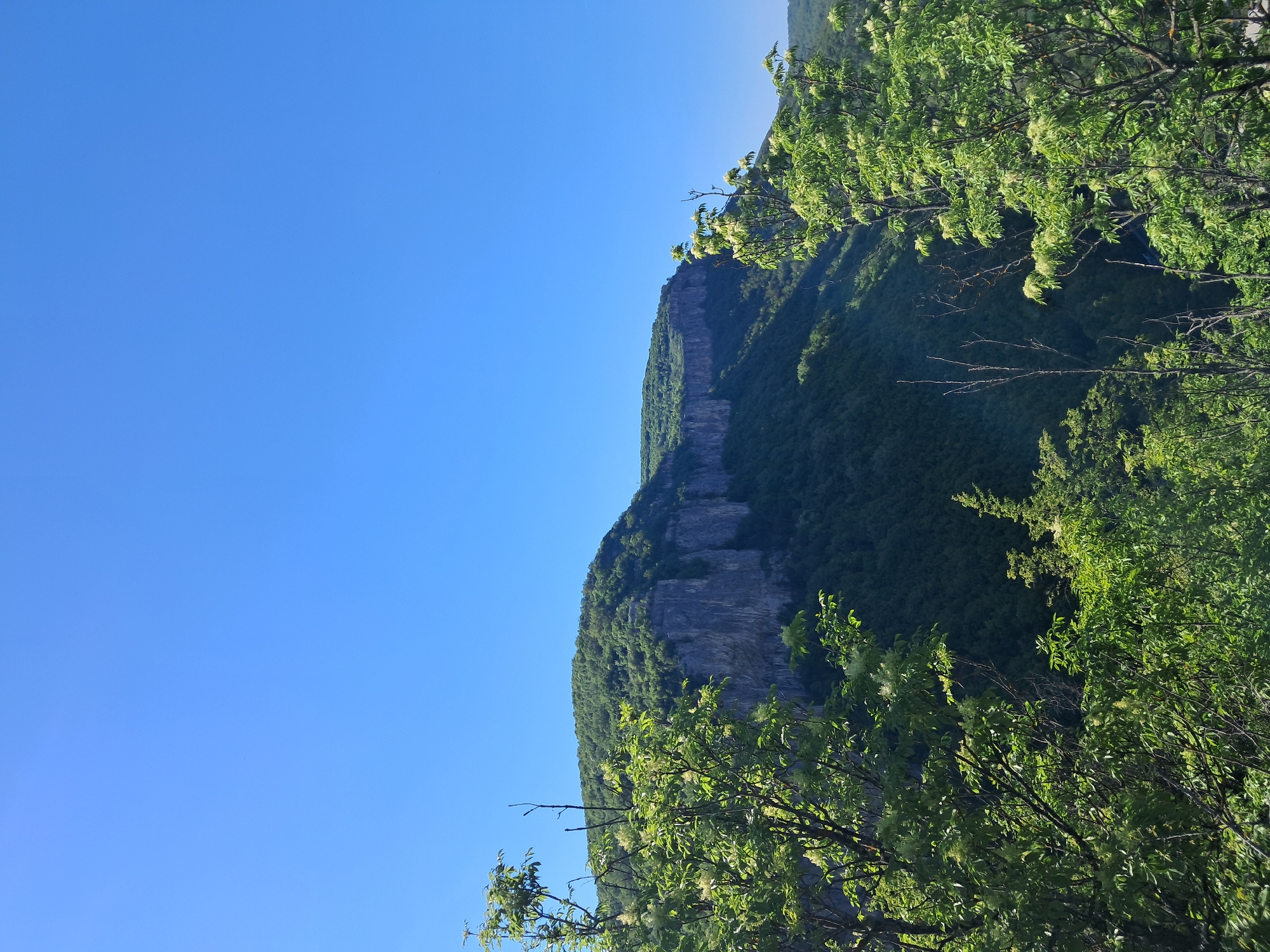 The image captures a cliff face in Dryanovo, Bulgaria, partly obscured by trees in the foreground. The cliff shows distinct geological layering. A clear blue sky occupies the upper left of the frame. The environment consists of a rocky cliff face covered with green vegetation and trees. No people, actions, or interactions are depicted.