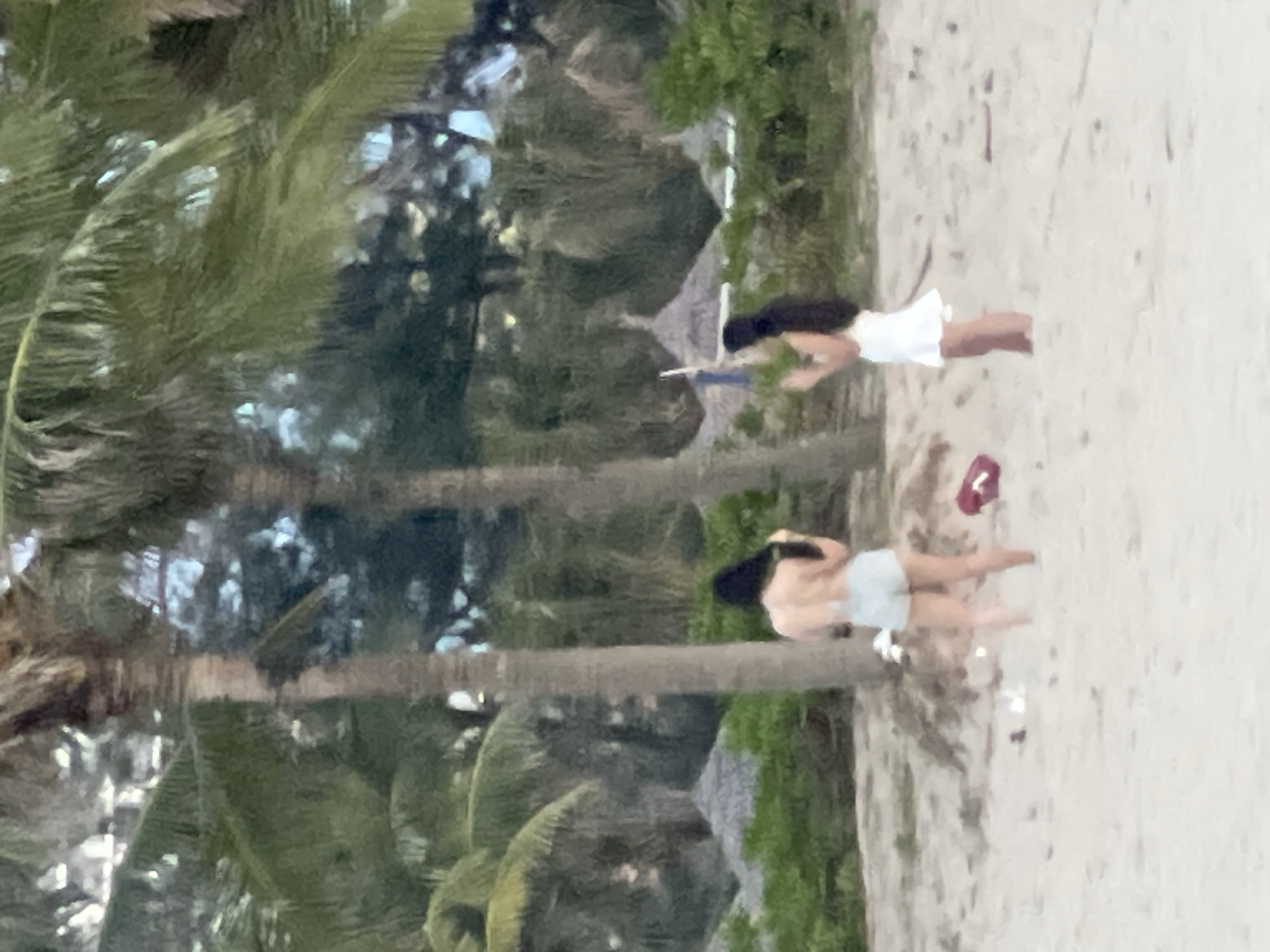 The image depicts a beach scene with two individuals standing amidst palm trees and sand. The foreground is dominated by light-colored sand with scattered debris, possibly litter. In the mid-ground, two women are visible. The woman on the left, facing away from the camera, is wearing light-colored shorts and a strapless top. She appears to be holding something in her left hand. The woman on the right, also facing away from the camera but slightly angled, is wearing a white dress and holding a blue object, possibly a bottle or a can, in her right hand. Behind the women, a cluster of palm trees creates a natural backdrop, with some foliage and thatched-roof structures visible in the distance. The overall impression is that of a tropical beach setting, likely in a resort area.
While the image itself does not contain explicit indicators of its location within Da Nang, Vietnam, the presence of palm trees, sandy beaches, and thatched-roof structures are common features of coastal resorts in the region. Da Nang is known for its extensive coastline, popular for its beaches such as My Khe Beach, Non Nuoc Beach, and Tien Sa Beach, which are often lined with palm trees and feature resort amenities. The visual style of the thatched-roof structures could also be found in various beach resorts along Da Nang's coast.