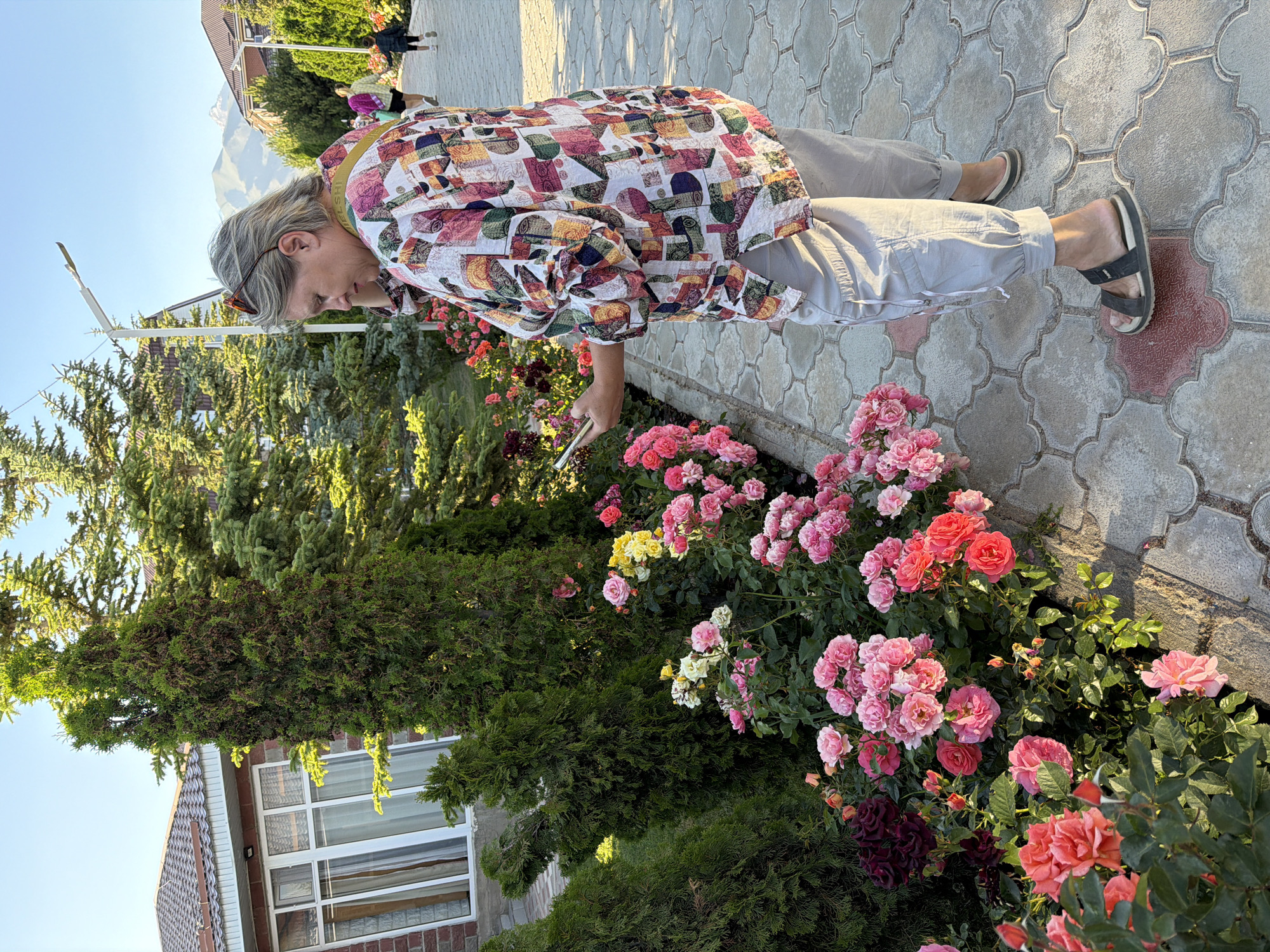 This is a photograph of a person with grey hair and sunglasses perched on their head, wearing a colorful, patchwork-style shirt and light-colored pants. They are bending down to look at a bush with numerous pink, red, and yellow roses. The person is holding a silver object, possibly a phone or a tool, in their right hand.
The setting appears to be a garden or yard with a paved walkway made of light grey interlocking stones. Behind the roses, there are dense green evergreen bushes and a building with brick walls and white-framed windows. In the background, other people are visible walking on the paved path. The sky is clear and blue, suggesting a sunny day. The lighting indicates it's either morning or late afternoon due to the long shadows cast by the paving stones. The overall mood seems peaceful and engaged, with the person focused on the flowers. No visible text is present in the image.
