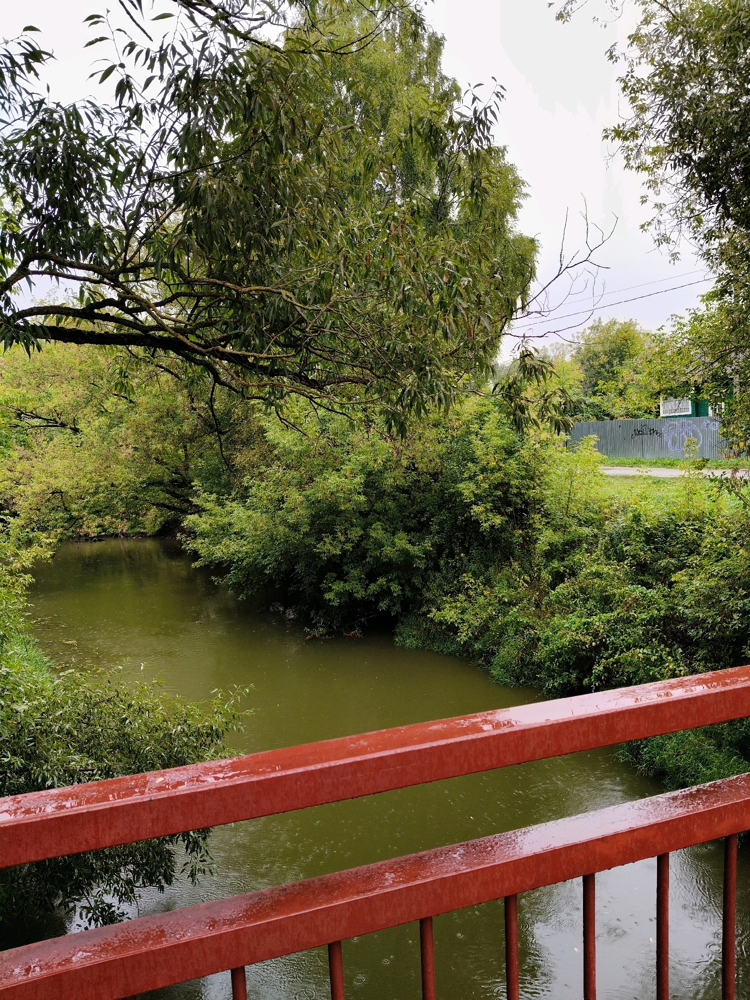 The image depicts a view from a bridge overlooking a river in Naro-Fominsk, Russia. The river's water is a murky green, with visible ripples from falling rain. Lush green trees and dense foliage line the riverbanks, creating a natural, somewhat overgrown landscape. In the background, a grey metal fence is visible, with a small green building and a road beyond it. The sky is overcast, suggesting rainy weather, which is further indicated by water droplets on the red bridge railings in the foreground. No people are visible in the scene.