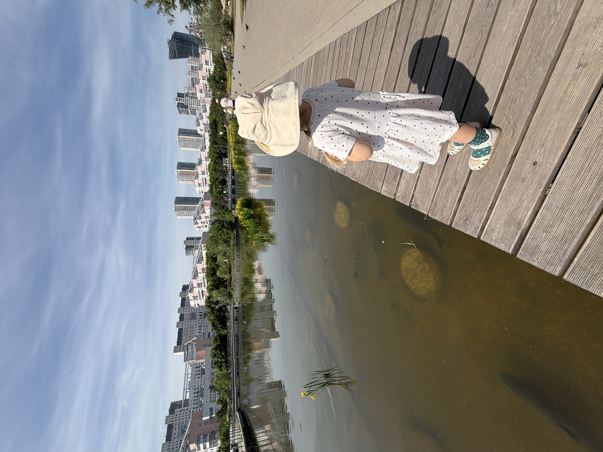 This image depicts a sunny daytime scene in a park environment within Khimki, Russia, featuring a small child observing a body of water.
In the immediate foreground, a young child, seen from behind, stands on a wooden plank boardwalk. The child wears a light-colored, wide-brimmed sun hat, a white short-sleeved dress adorned with small black polka dots, green patterned socks, and light-colored shoes. A distinct shadow of the child is cast on the boardwalk.
To the left of the boardwalk is a murky, greenish-brown pond or lake. The water's surface reflects the sky and background buildings. Several large, dark, elongated forms, consistent with fish, are discernible just beneath the water's surface near the boardwalk, along with submerged circular structures. A cluster of yellow iris-like flowers grows from the water closer to the viewer. Further across the water, additional yellow flora is visible.
Beyond the water, a paved pedestrian pathway runs along the bank, where several dark pigeons are scattered. A person wearing a hat is visible walking away in the distance on this path. The pathway is bordered by dense green foliage, including trees and bushes.
In the mid-ground and background, a cityscape rises above the trees. This cityscape comprises numerous modern residential buildings characterized by a distinctive architectural style, featuring light grey, white, and light pink facades, some with stepped or terraced designs. Taller, darker-colored high-rise buildings are also present. An elevated walkway or bridge is visible connecting some of the structures.
The sky above is predominantly clear blue, with scattered, wispy white clouds. The overall lighting suggests bright sunlight, evident from the strong shadows cast.