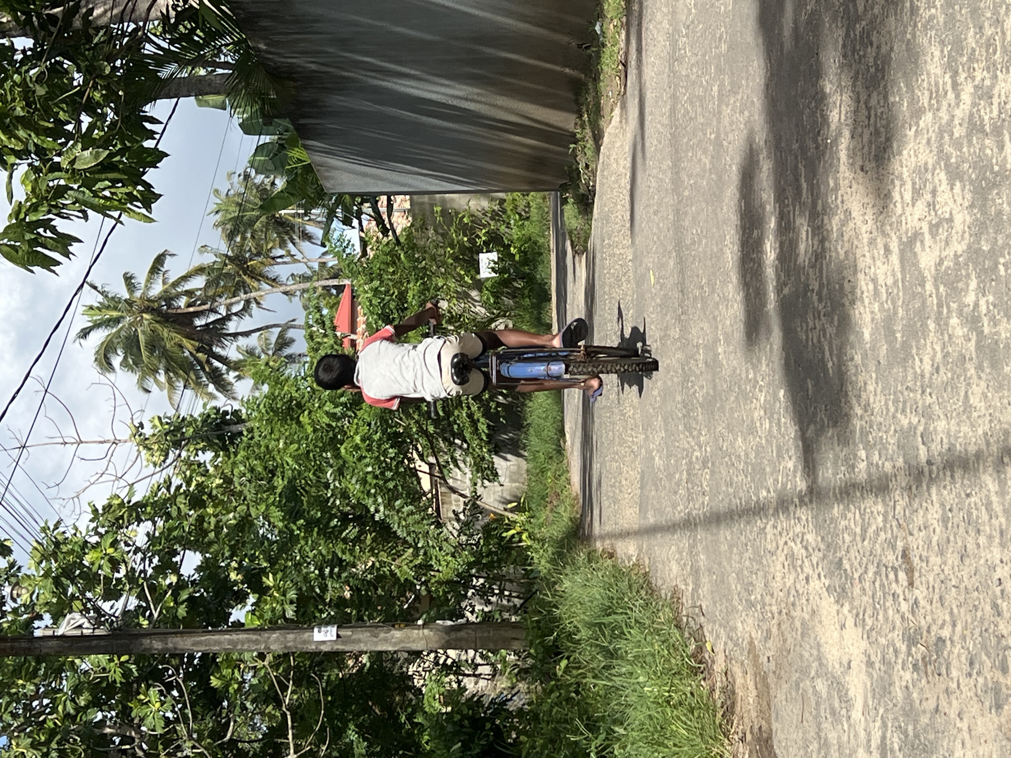 The original image, when viewed upright, depicts a person riding a bicycle on a paved road under bright daylight. The individual, seen from behind, appears to be male, wearing a light-colored t-shirt with red accents on the sleeves and light shorts. He is riding a blue bicycle, and a small red flag or piece of fabric is attached to the rear of the bike or his person.
The scene is set in a lush, verdant environment. Dense green foliage, including numerous large-leafed trees and bushes, lines both sides of the concrete or asphalt road. Tall palm trees, specifically coconut palms, are prominently visible against a bright, partly cloudy sky, suggesting a tropical or subtropical location. Overhead power lines crisscross the sky, supported by a concrete utility pole on the left side of the road.
Strong sunlight casts distinct shadows across the textured road surface, indicating either morning or afternoon. In the background, a plain concrete wall or structure is visible. A small, white rectangular object with faint, unreadable markings is attached to the utility pole. Another similar small sign is barely visible on the concrete wall in the distance. The activity is a simple, casual bike ride along a quiet, tree-lined path. No specific emotions are discernible from the person's back, and the overall atmosphere is peaceful and serene.