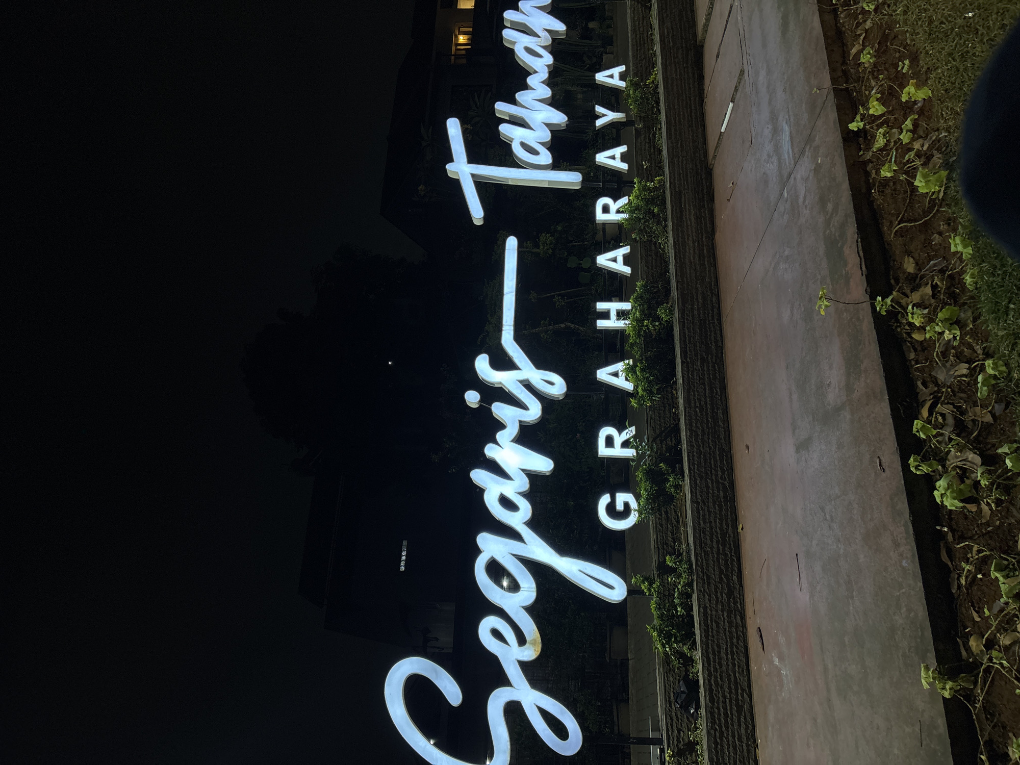 The image displays an illuminated outdoor sign at night, set against a dark background. The sign, glowing with bright white light, presents two lines of text. The upper line, written in an elegant, flowing script font, reads "Segaris Taman". Below it, in a clear, all-caps serif font, is the word "GRAHRAYA".
To the right of the sign, a section of paved ground or pathway is visible, running diagonally into the distance. Alongside this paved area, there is a narrow strip of soil with various small, green leafy plants and some scattered dry leaves. Further right, a patch of grass is partially obscured by a dark, blurred object in the foreground, possibly a person's shoulder or clothing. On the left side of the sign and in the background, the scene is dominated by darkness, with faint architectural details and a few illuminated windows of a building suggesting its presence behind the sign. A textured, dark wall or base runs along the ground level beside the paved area. The distinct illumination of the sign and the deep shadows confirm the nighttime setting. The visible text, "Segaris Taman GRAHRAYA," serves as a direct location cue, suggesting a business or development in South Tangerang, Indonesia.
