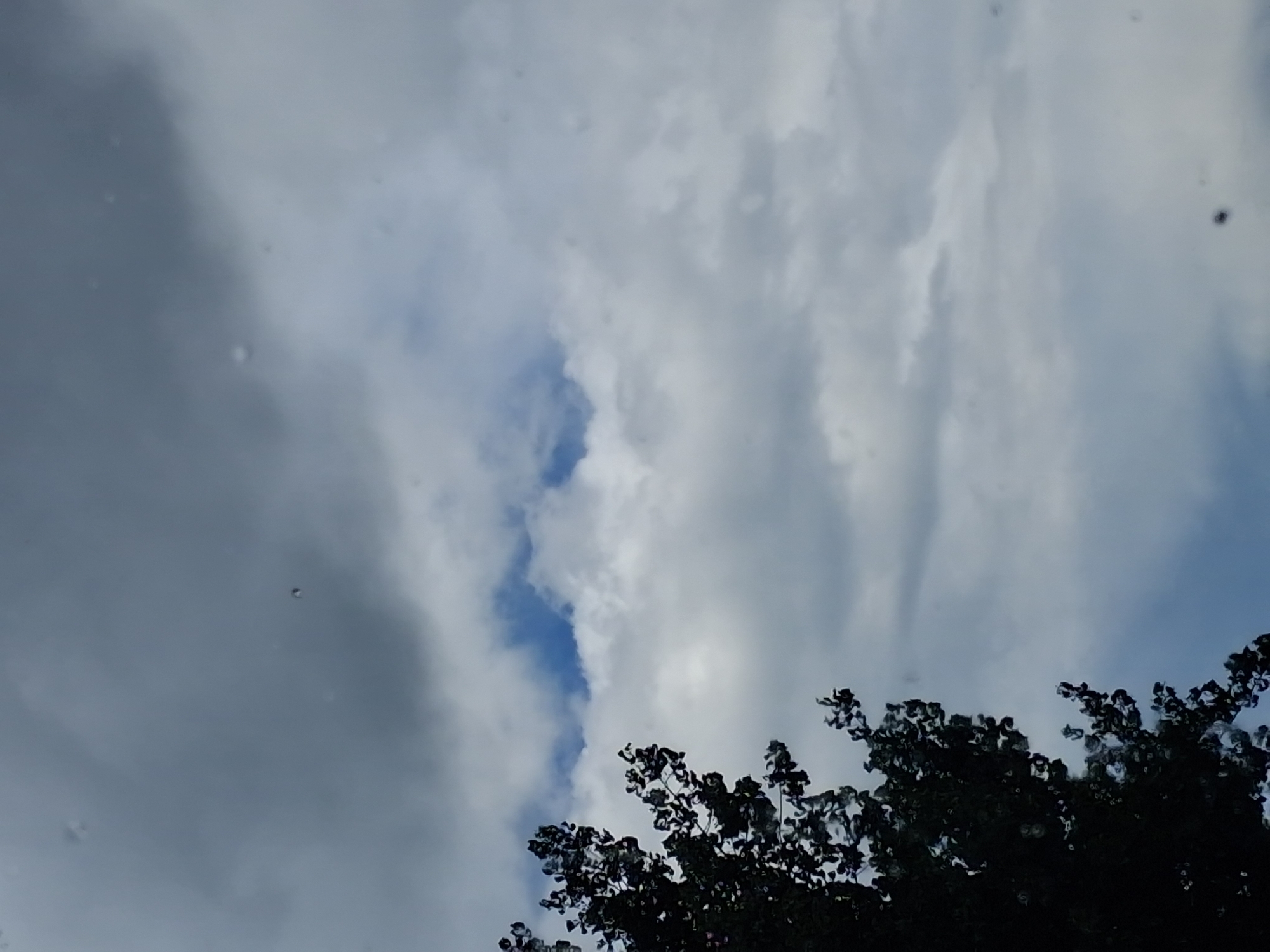 This media file is a close-up shot of a cloudy sky with the silhouette of a tree's foliage in the foreground, positioned at the bottom right of the frame. The sky is filled with various types of clouds, ranging from dark, heavy storm clouds on the left to lighter, more wispy clouds that allow glimpses of blue sky in the center and right. The contrast between the dark, looming clouds and the brighter, broken cloud cover suggests a dynamic weather system, possibly indicating an approaching or passing storm.
The tree's leaves are dark and dense, creating a stark silhouette against the lighter sky. The texture of the leaves appears somewhat blurred, possibly due to the focus being on the sky or the movement of the leaves in the wind.
Several small, dark specks are visible against the sky, some appearing as distinct points while others are more blurred. Their nature is unclear, but they could be insects, dust particles on the lens, or rain droplets.
The overall mood conveyed by the image is one of atmospheric drama and natural beauty. The interplay of light and shadow, the varied cloud formations, and the stark silhouette of the tree create a sense of depth and foreboding, yet also a sense of openness and vastness associated with the sky. The time of day is indeterminate due to the cloud cover, but the quality of light suggests it could be late afternoon or early evening. No text is visible in the image.