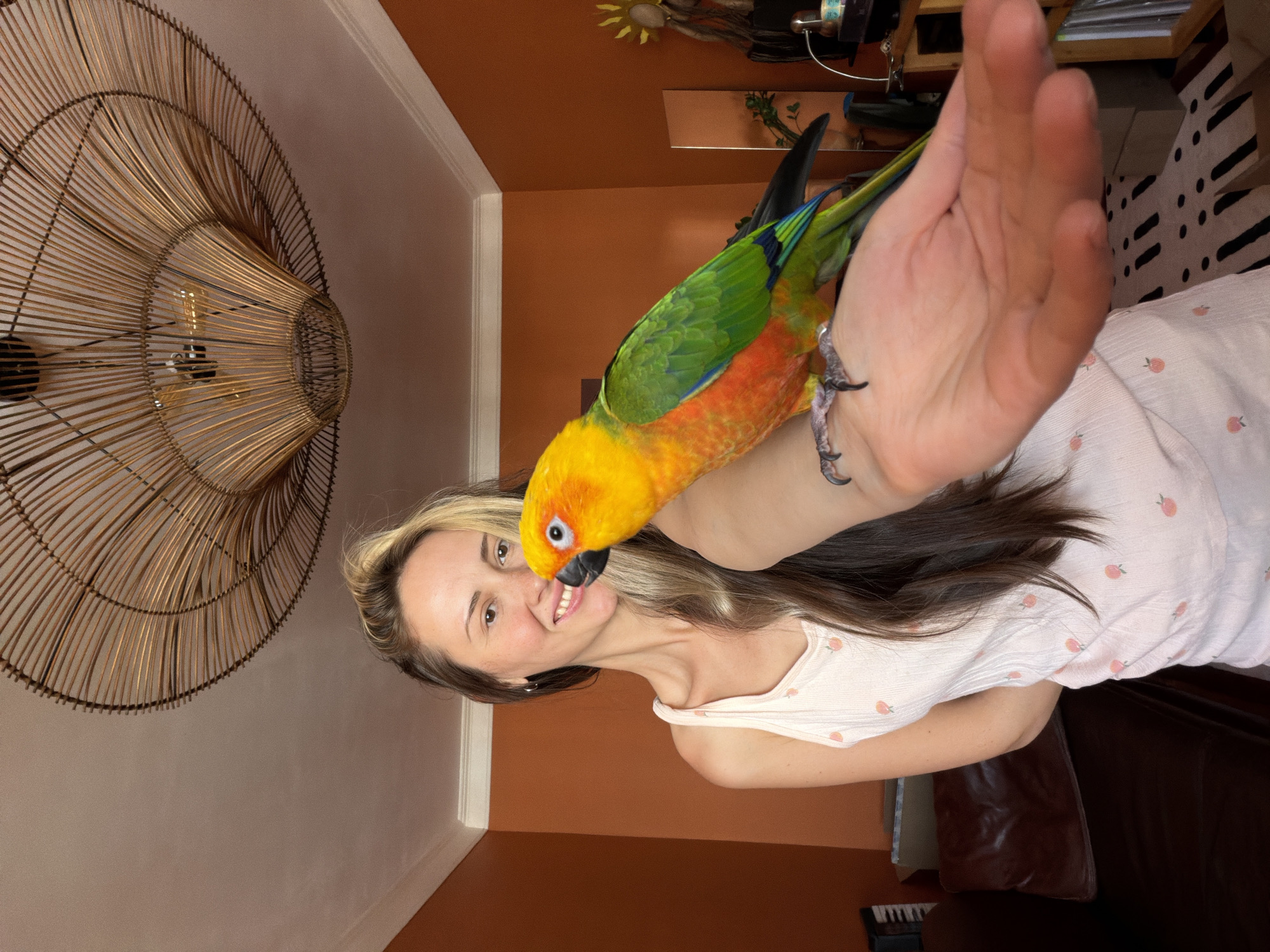 A woman is standing in a room and holding a colorful parrot on her arm. The woman has long brown hair with blonde highlights and is wearing a white tank top with a peach pattern. The parrot is yellow, orange, and green. The room has orange walls, a wooden ceiling fixture, and a leather couch. There is also a mirror and some shelves with items on them in the background. The scene is lit by natural light. The image was taken indoors.