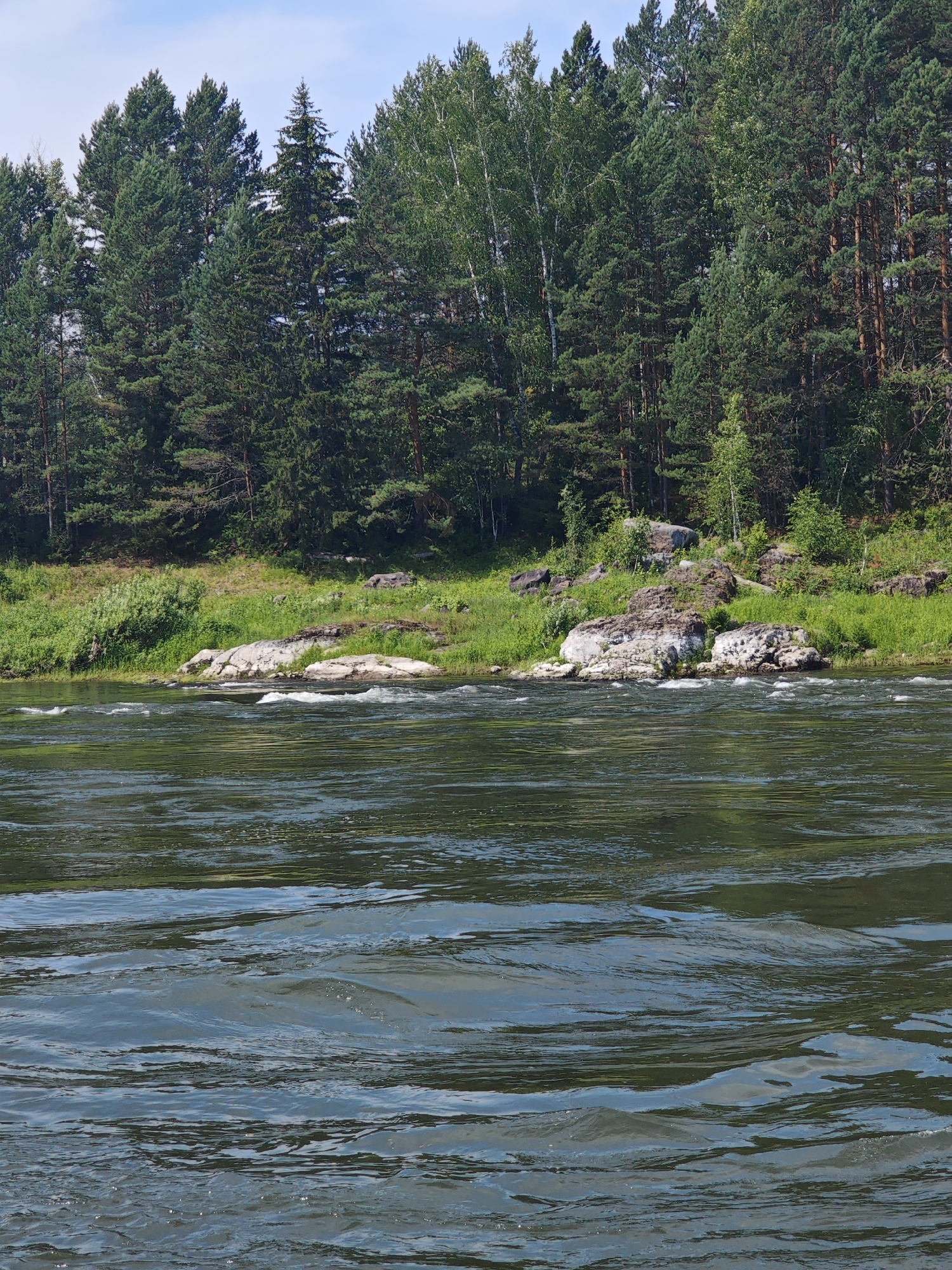 The image depicts a natural landscape scene, likely near the city of Porog, Russia, characterized by a river flowing in the foreground and a dense forest bordering the riverbank in the background. The river's surface is agitated, showing ripples and currents, with reflections of the sky and vegetation. The riverbank is lined with rocks and lush green grass, with a thick growth of evergreen and deciduous trees forming a dense forest. The sky above is partly cloudy. There are no people or man-made structures visible in the frame, indicating a natural and undeveloped environment.