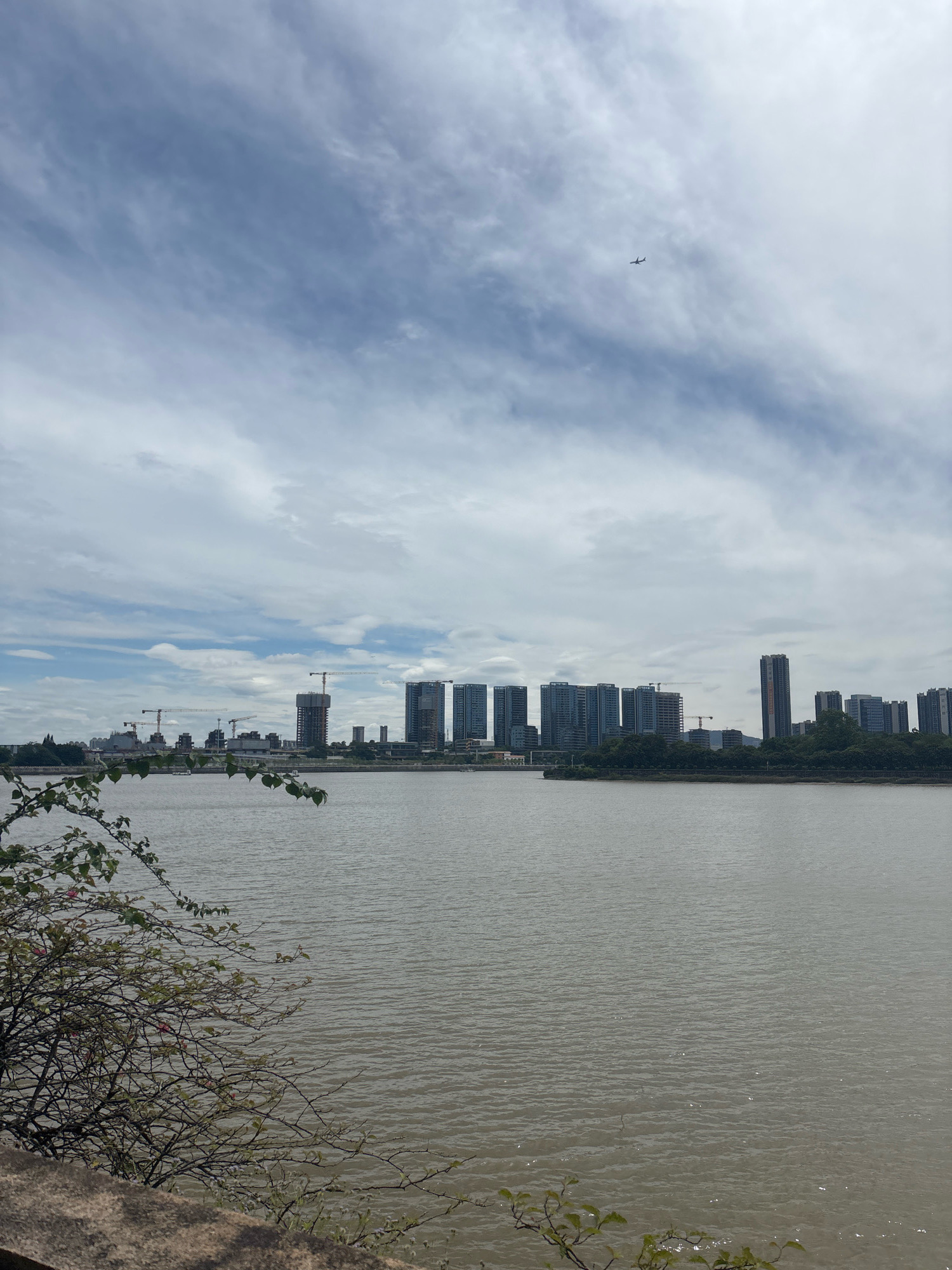 The image captures a wide shot of a riverfront with a city skyline in the background. The foreground features the edge of a body of water, with ripples indicating a gentle current. To the left, a bare tree with sparse green leaves and some pink flowers grows out of a stone embankment. The middle ground is dominated by the calm, greyish water. Across the river, the Nanhai District skyline is visible, characterized by a series of modern high-rise buildings, some appearing to be under construction with cranes present. The buildings are a mix of glass-fronted towers and more solid structures, interspersed with areas of green trees. The sky above is partially cloudy, with streaks of white and grey clouds against a pale blue backdrop. A small airplane is visible as a tiny silhouette high in the sky. The overall impression is an urban waterfront scene on a partly cloudy day.