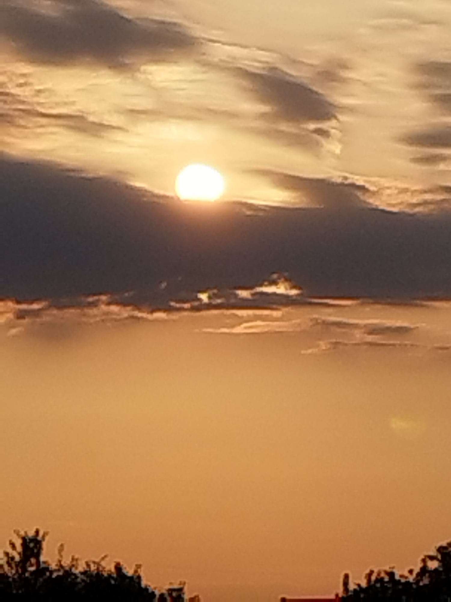 This is a photograph of a sunset over the city of Vidra, Romania. The sun is partially obscured by dark clouds, casting a warm, orange glow across the sky. The lower part of the image shows silhouetted trees and a hint of buildings. The overall impression is one of a serene and colorful end to the day.