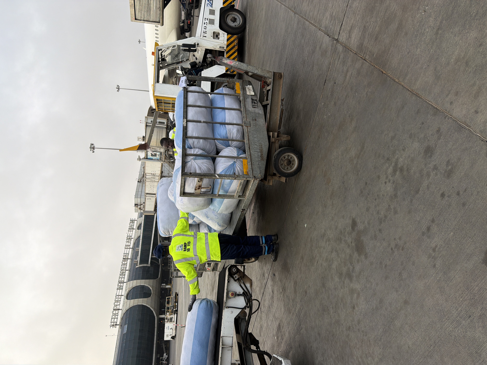 The image depicts an airport worker in a high-visibility jacket positioned next to a cart filled with large bags. The bags are white with blue stripes. The cart is connected to a vehicle, likely for towing. In the background, part of the airport terminal is visible, along with parked airplanes and airport support vehicles. The terminal building has the text "AEROPORT INTERNATIONAL BLAISE DIAGNE" displayed, indicating this location is Blaise Diagne International Airport. This airport is located in Diass, a rural community in Senegal. The weather appears overcast. The worker seems to be overseeing the loading or unloading of cargo. The ground surface is concrete.
