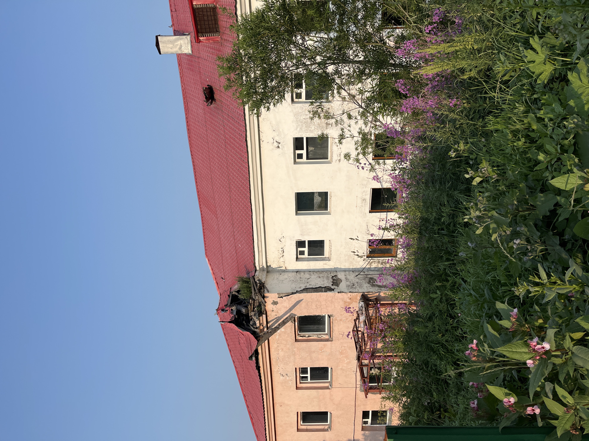 The image depicts a partially damaged building with a bright red roof under a clear blue sky. The building appears to be a two-story structure with some visible signs of disrepair, particularly on the left side where the roof has collapsed, exposing structural elements and vegetation growing through the opening. The walls are painted in two different colors: a light peach on the left and white on the right. Several windows are visible, some with intact glass and others appearing to be open or boarded up. In the foreground, lush green vegetation with scattered pink and purple flowers grows, partially obscuring the lower portion of the building. A green metal fence post is visible on the far left edge of the image. The scene suggests an abandoned or neglected property. The specific location is identified as being in the city of Petropavlovsk-Kamchatsky, Russia.