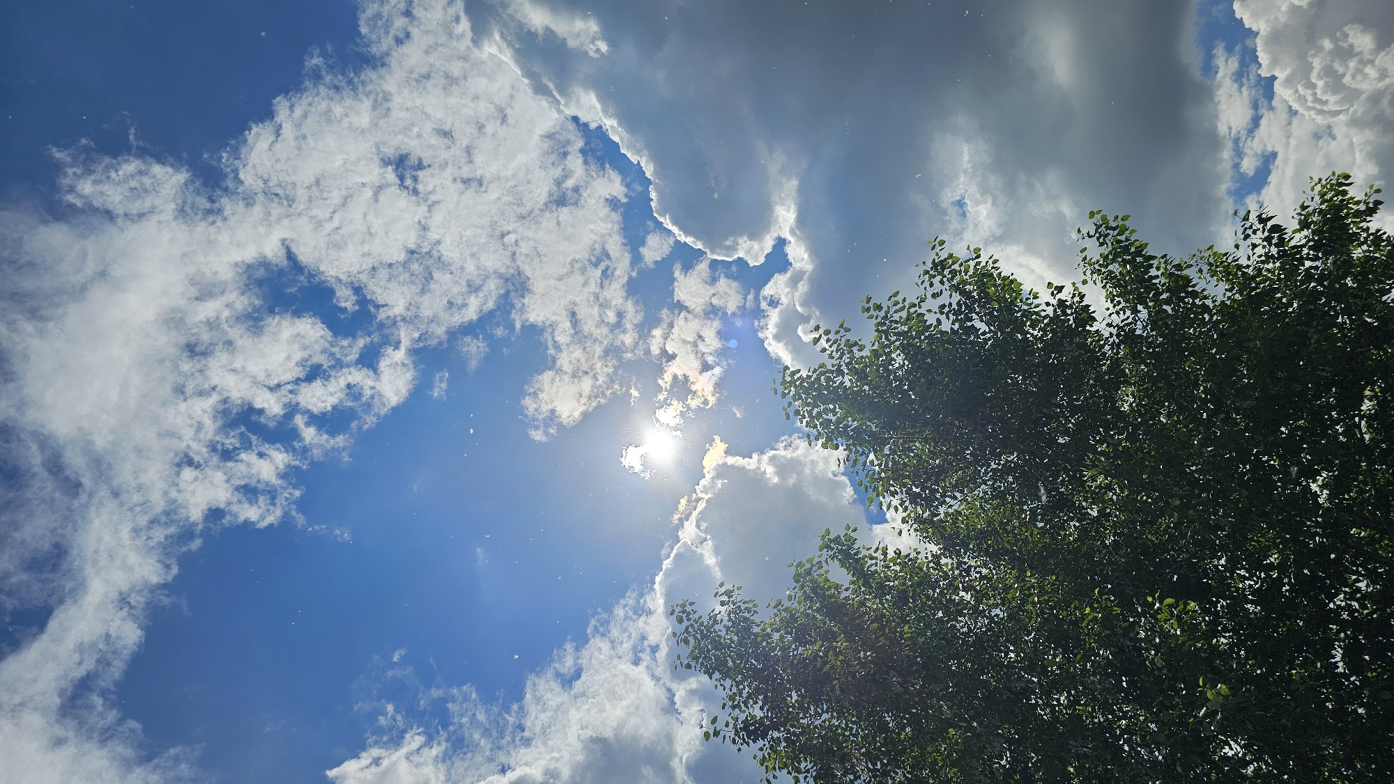 A tree with green leaves is in the lower left corner of the frame. The sky is blue with white and gray clouds. The sun is shining brightly, with visible rays. The image is taken outdoors in Yekaterinburg, Russia.