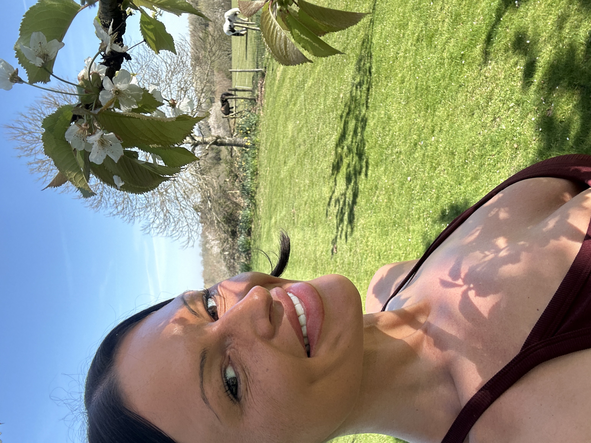 A woman is lying in a grassy area in Tunbridge Wells, United Kingdom. The foreground contains a close-up of the woman's face and upper torso. She is smiling, with a strand of hair rising upwards from her forehead. She is wearing a maroon-colored tank top. Above and to the left of her is a branch of a flowering tree with white blossoms and green leaves, silhouetted against a bright blue sky. In the mid-ground, there is a large expanse of green grass. A fence and two animals (possibly horses or sheep) are visible in the background, along with a cluster of trees without leaves. The lighting suggests a sunny day, casting shadows from the flowering tree onto the grass and the woman's skin.