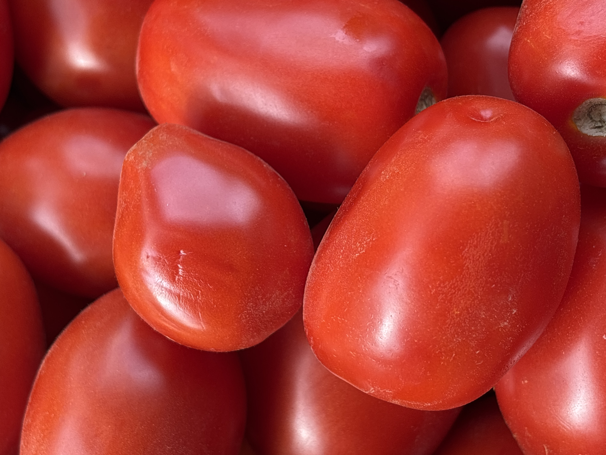 This is a close-up, eye-level, vertical shot of a pile of ripe, red Roma tomatoes. The tomatoes are the primary subject, filling the entire frame. They are various shades of red, with some appearing slightly lighter due to highlights from overhead lighting, indicating a glossy, smooth skin. The tomatoes are oval or plum-shaped and are tightly packed together, creating a textured surface with rounded forms. The overall impression is one of abundance and freshness. There are no people, background elements, or environmental details visible. The image is devoid of any context relating to Zvenigorod, Russia, or any specific location.
