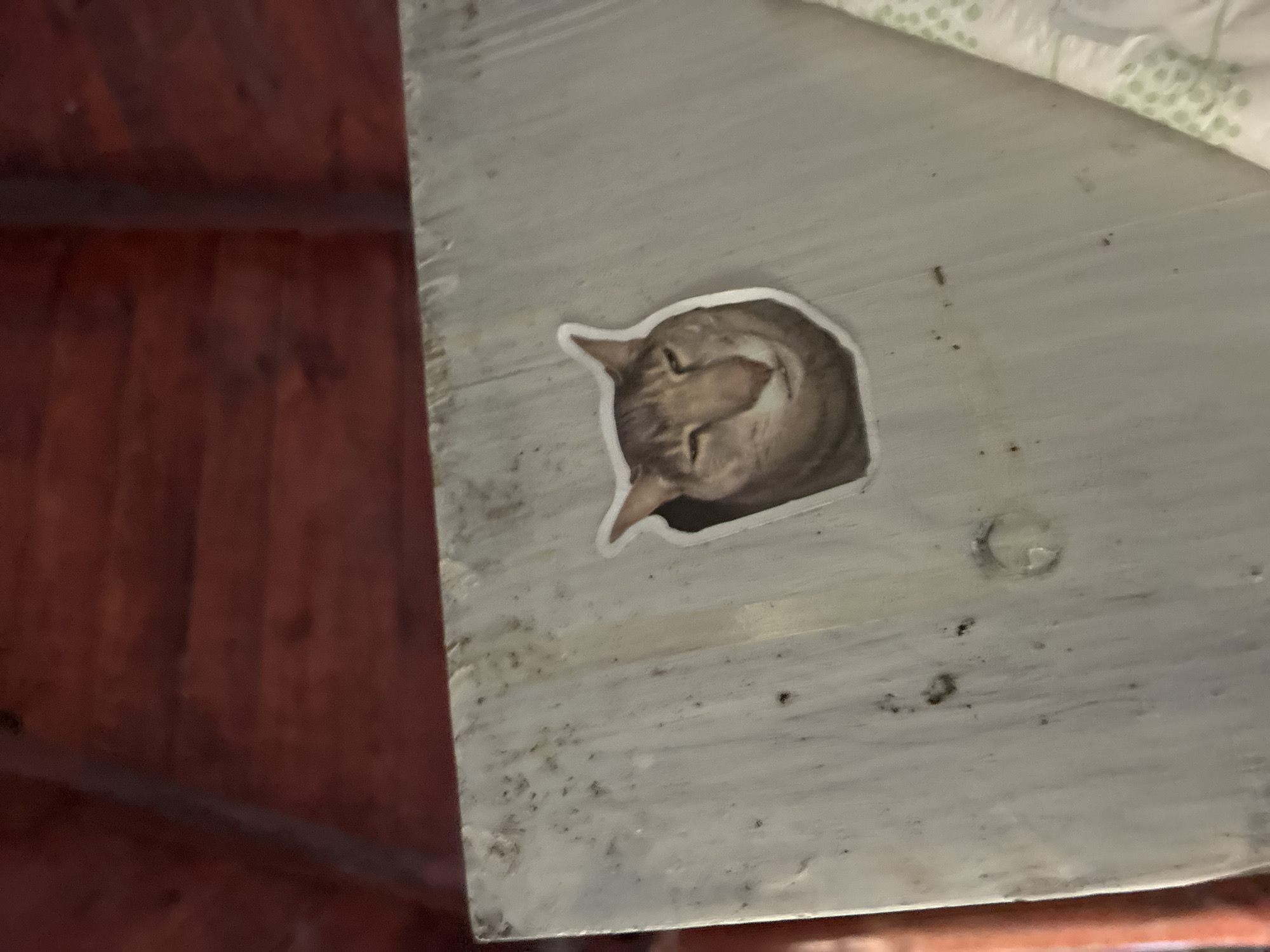 The image shows a sticker of a cat's face affixed to a light-colored, weathered wooden surface. The cat sticker is located on the left side of the surface, with its head tilted slightly and its eyes appearing to be closed or squinting. The wooden surface is textured and shows signs of wear, with some dark specks and lighter grain patterns visible. Behind the wooden surface, a dark red wooden ceiling or wall is visible, with horizontal planks. The overall scene appears to be indoors, possibly in an attic or a rustic structure. The location of Kalofer, Bulgaria is not discernible from the visual information in the image.