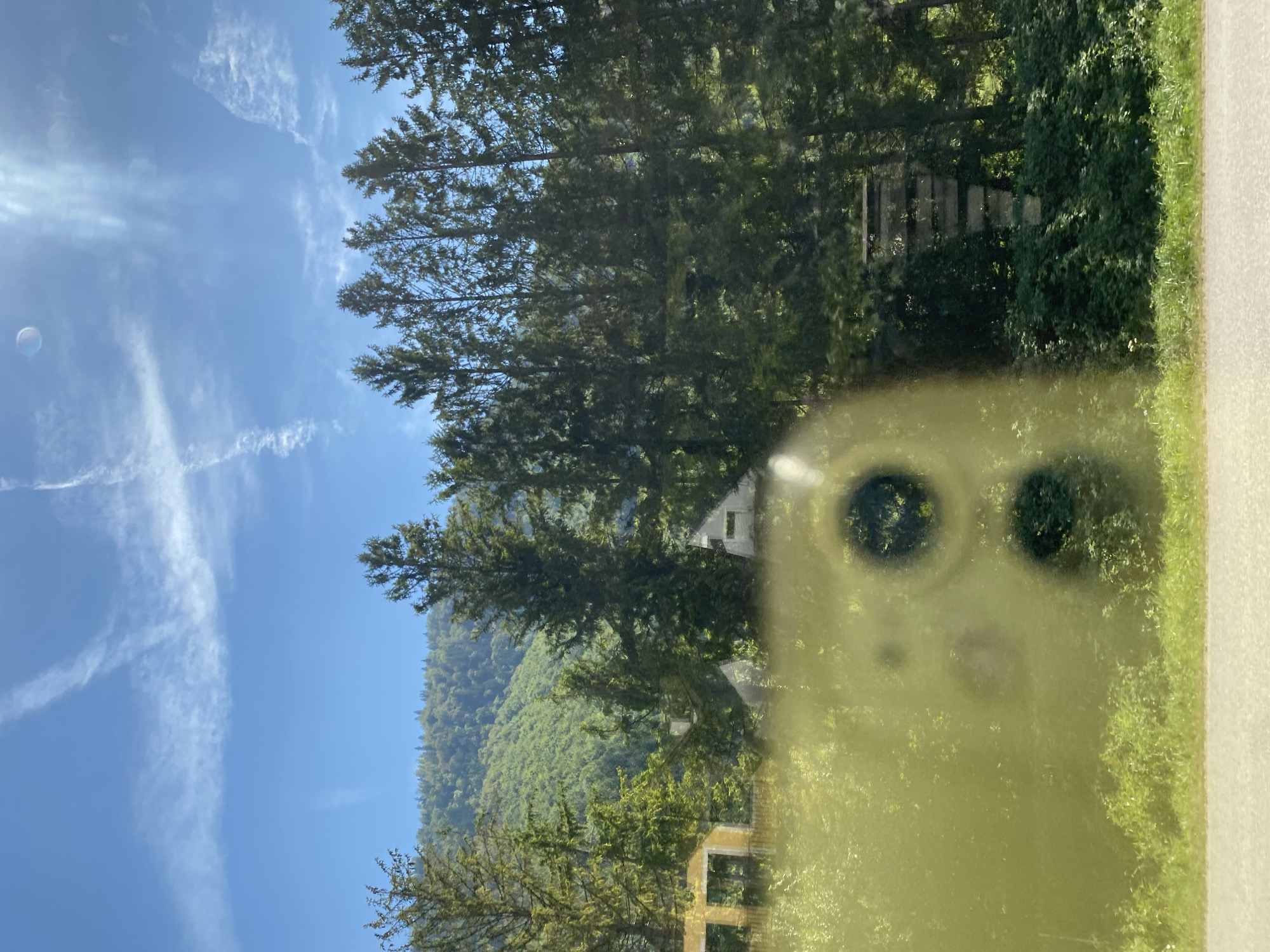 The image shows a view of a rural landscape with a yellow building and several tall evergreen trees in the foreground. In the background, a lush green forested hill rises under a blue sky with scattered white clouds. The sky is bright with sun flares visible on the right side. The reflection of a smartphone camera, with its distinctive circular lenses, is prominent in the foreground, obscuring parts of the scene. A road is visible at the bottom of the image. The location is specified as Roith, Austria, suggesting a village or small town setting within a mountainous or hilly region. The yellow building appears to be a house or some form of structure, with visible windows. The trees are densely packed, creating a thick line between the viewer and the hill. There are no people or animals visible in the frame.