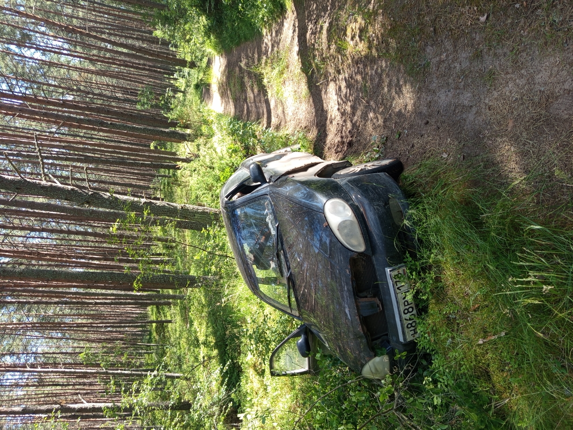 A black, four-door sedan is parked off a dirt road in a forest. The car is partially overgrown with grass and vegetation. The driver's side door is open. The car's front bumper is damaged, and the grill is missing. The license plate is visible and reads "H868PY 173". The surrounding environment consists of tall, thin pine trees and green undergrowth. The road appears to be a dirt path winding through the trees, with sunlight dappling the ground. The scene suggests the car has been abandoned or has been in an accident and left in this remote location. The image is taken from a slightly elevated angle, looking down at the car and the road.