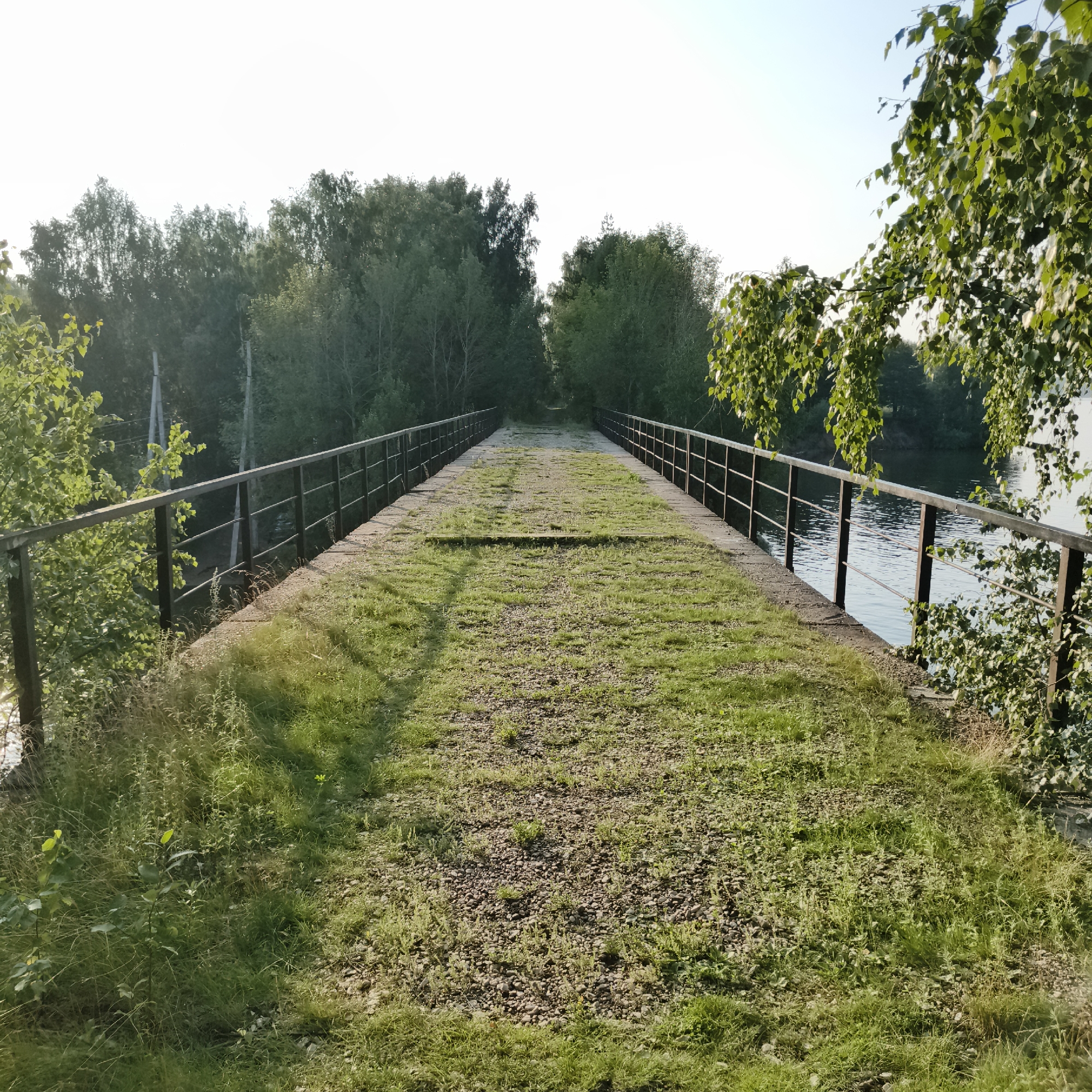 The image depicts an old pedestrian bridge covered in grass and gravel, spanning a body of water. The bridge has metal railings on either side, and trees line the banks. The sky is clear and bright, suggesting it is daytime. The scene appears to be located in a natural or semi-natural setting, possibly a park or a rural area. While the prompt mentions the city of Chaikovsky, Russia, there are no specific landmarks or indicators within the image that confirm this location. The bridge is empty, with no people visible in the frame, and no objects or actions are taking place.