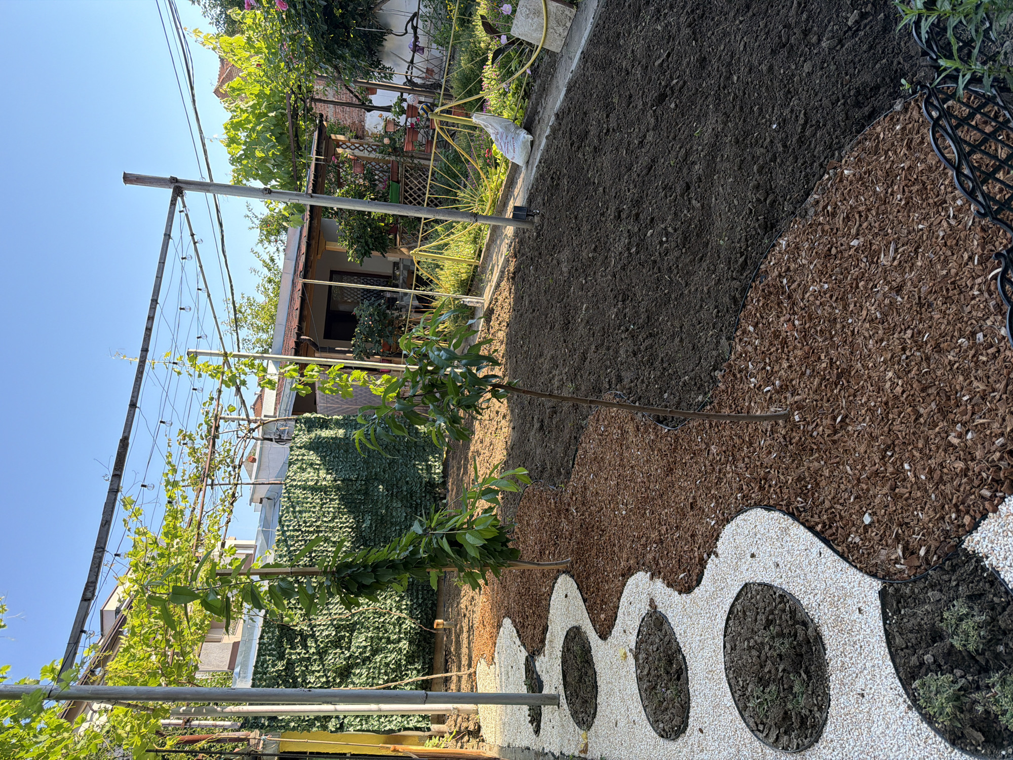 The image shows a backyard garden in Pazardzhik, Bulgaria, during daylight. The garden features a pathway made of white gravel with several circular planting beds filled with soil and small plants. Adjacent to the gravel path is an area covered in brown mulch, which leads to a section of freshly tilled dark soil. Two young trees are planted in the mulched area. In the background, there is a green fence, a small building with a red-tiled roof, and a pergola covered with green foliage. Various plants and some garden supplies, including a white bag, are visible throughout the yard. The sky is clear and blue.