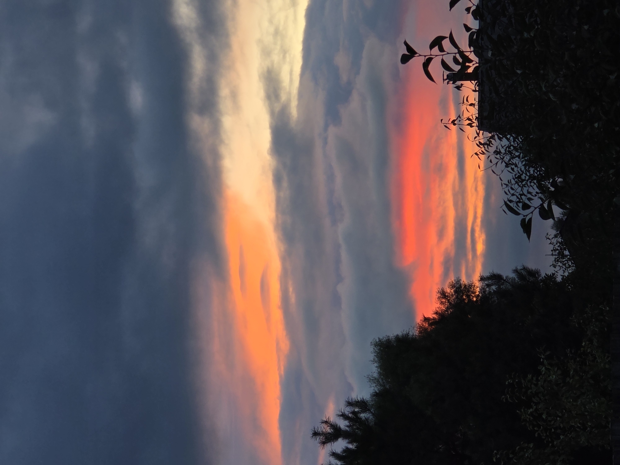 The image depicts a dramatic sunset with vibrant orange and red hues illuminating the sky through dark, layered clouds. Silhouetted against this colorful backdrop are the dark shapes of trees and foliage in the foreground, along with the edge of a building or structure, possibly a roof with a chimney. The overall scene suggests an outdoor setting, possibly a residential area, with the natural phenomenon of a sunset dominating the view. The location is identified as Речицы, Russia.