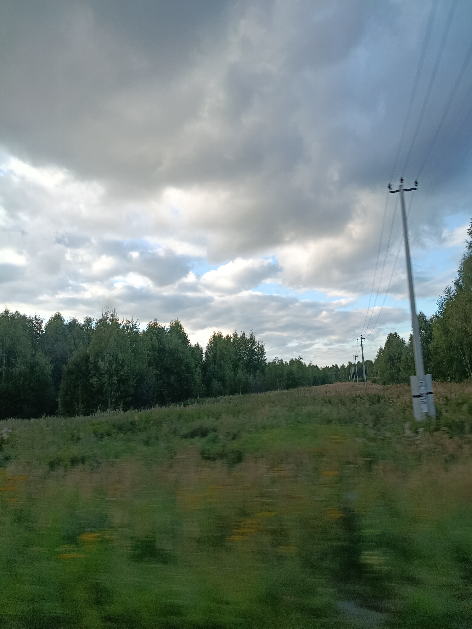 The image depicts a rural landscape, likely in 1-Go Maya, Russia, under a cloudy sky. A line of trees forms a dark green border across the middle ground. In the foreground, a blurry field of grass and wildflowers stretches out, indicating movement. Several power lines with poles are visible, stretching from the right side of the frame and disappearing into the distance. The lighting suggests it's either early morning or late afternoon. There are no people or animals present.