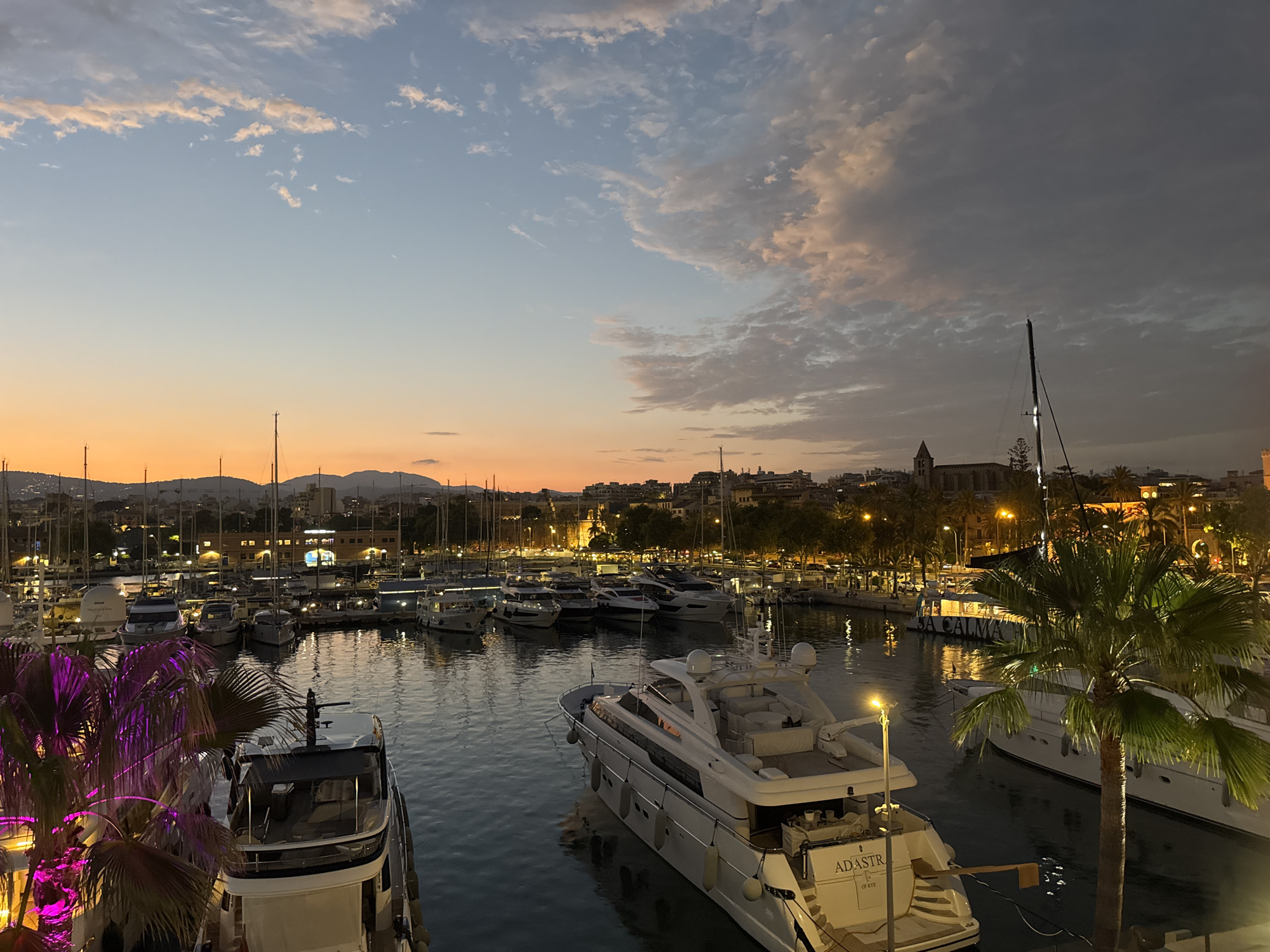 This is a dusk photograph taken from a high vantage point, overlooking a marina in Palma, Spain. The sky displays a gradient of colors, transitioning from a warm orange glow near the horizon to a soft blue and then a dusky gray with scattered clouds. A city skyline with buildings and a church spire is visible in the background, illuminated by streetlights and interior lights. Numerous sailboats and yachts are docked in the marina, their reflections shimmering on the water's surface. In the foreground, the tops of palm trees, some lit with purple lights, are visible. One large white yacht in the foreground has the name "ADASTR" visible on its stern. The overall scene captures a peaceful evening atmosphere in a bustling port city.