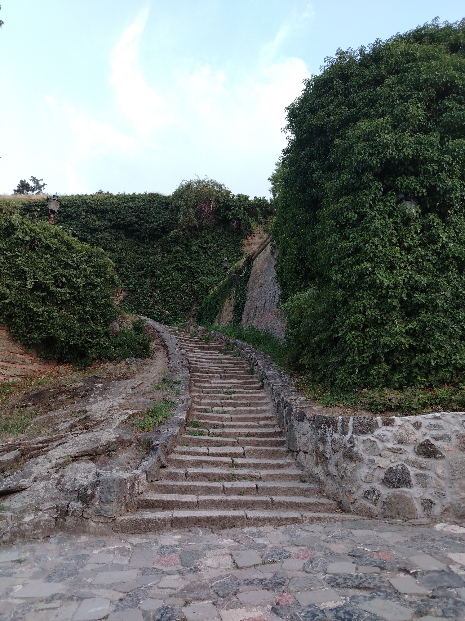 An outdoor scene shows a stone stairway ascending a hill covered in dense green ivy. The stairway is made of large, rectangular stone blocks and is bordered by a rough stone wall on the right. To the left of the stairway, the hill is covered in rocks and patches of grass. In the background, more ivy covers the hillside, with a few vintage-looking lampposts visible amongst the foliage. The sky above is a pale blue with scattered white clouds. The foreground features a cobblestone path made of irregularly shaped stones. The scene appears to be a pathway within the Petrovaradin Fortress in Petrovaradin, Serbia. There are no people or animals present in the image.