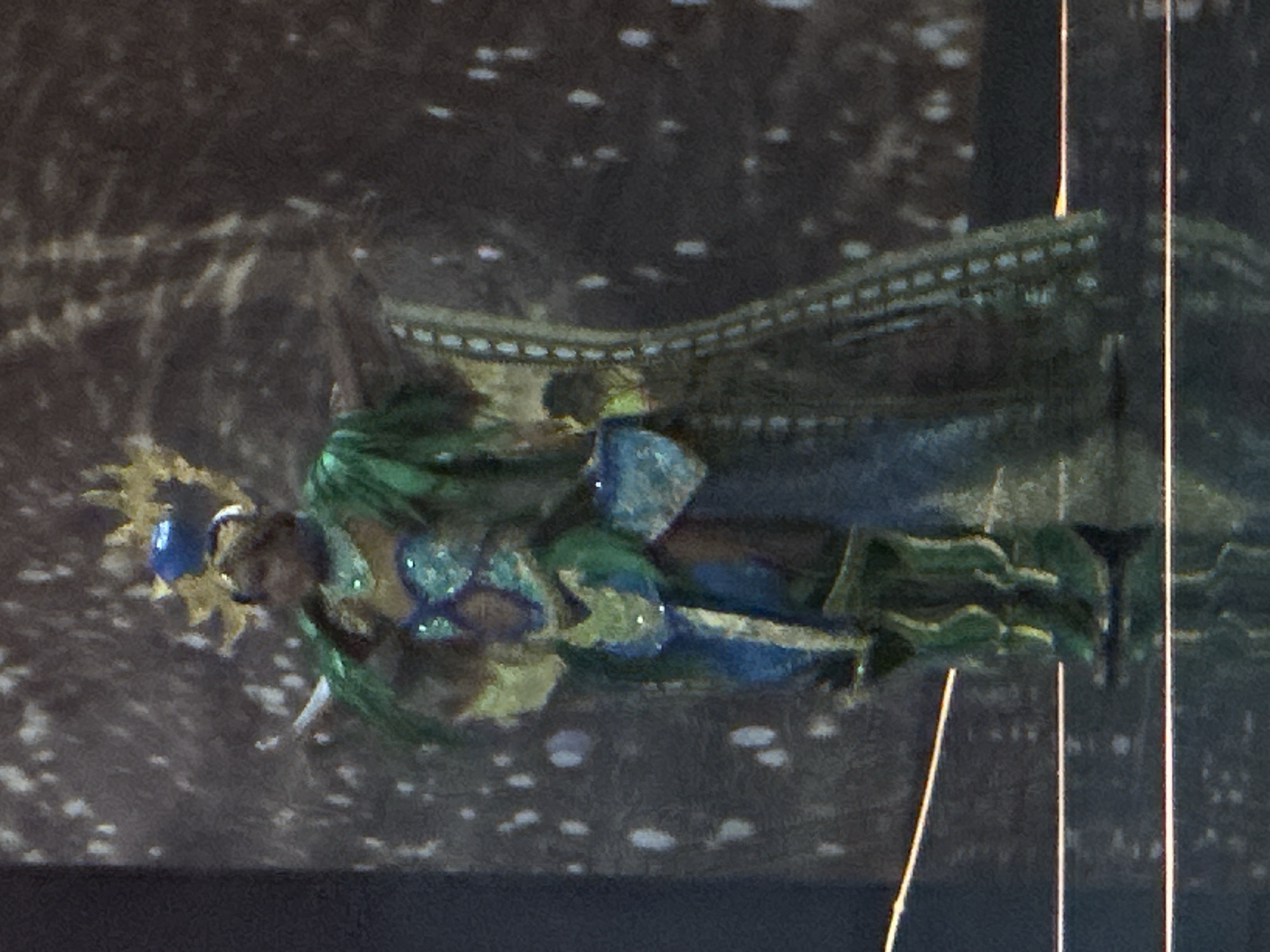 A full-body, slightly blurry, eye-level shot captures a person in an elaborate, green and blue costume with gold accents standing on a reflective surface. The costume features a headdress with gold spiky protrusions and a blue sphere on top. A green, cape-like garment with feathered edges drapes over the shoulders and back. The bodice is adorned with shimmering blue and green elements. The lower half of the costume includes a blue skirt with gold trim and tall green boots with intricate gold patterns. The background is a mottled, dark brown and gray pattern with scattered white speckles, resembling a textured backdrop or a natural setting. The person appears to be on a stage or platform, indicated by the polished, dark floor and horizontal light lines. No specific location in Nowy Sącz, Poland, can be identified from this image.