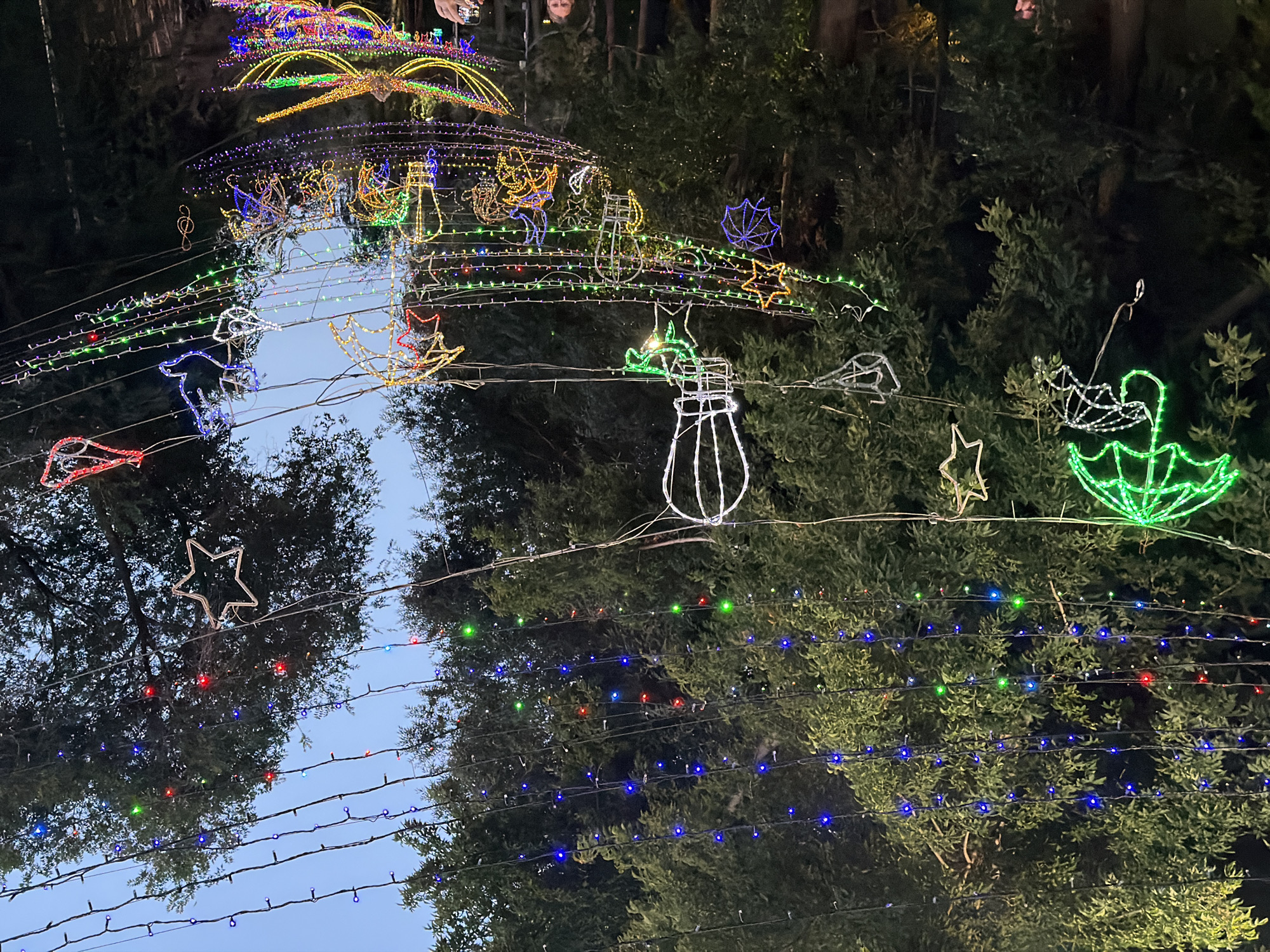 The image shows an outdoor scene at dusk, illuminated by numerous strings of colorful lights and various light decorations. These lights are strung between trees and overhead wires, creating a festive atmosphere. Visible light decorations include neon-style shapes of umbrellas, hot air balloons, stars, birds, musical notes, a dragonfly, and other abstract designs. The lights are predominantly blue, green, red, yellow, and white, creating a vibrant display against the darkening sky and dense foliage of trees. Two individuals are partially visible in the lower part of the image, with one holding a phone, suggesting they are taking pictures of the light display. The overall impression is that of a public space decorated for a celebration or event. The location is identified as the embankment of the Irtysh River in Pavlodar, Kazakhstan, implying this is a scenic waterfront area.