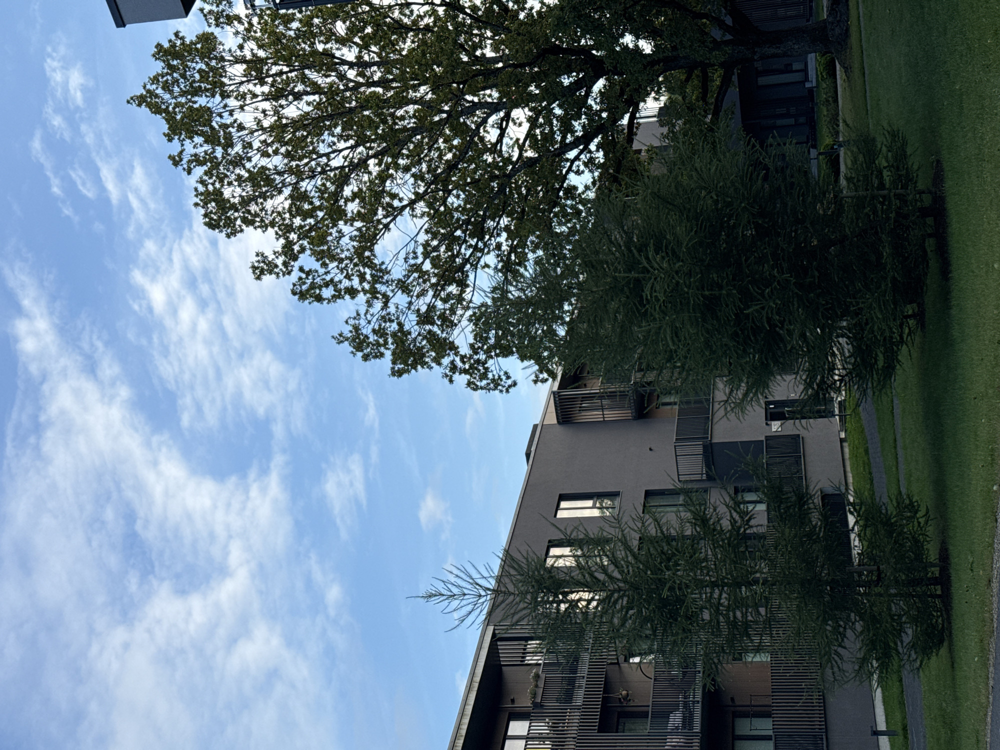 In the city of Tallinn, Estonia, an exterior, medium-shot photograph captures a modern apartment building and surrounding greenery under a partly cloudy sky. The building, constructed with gray concrete, features multiple stories with balconies. Dark-colored railings line the balconies, and large windows are visible. In front of the building, two young evergreen trees stand on a manicured lawn. To the right of the frame, a large, mature deciduous tree with dark green foliage towers over the scene. The ground is covered in a vibrant green lawn, with a paved pathway curving around the trees. The sky above is a mix of light blue and white clouds, with wispy formations suggesting a breezy day.