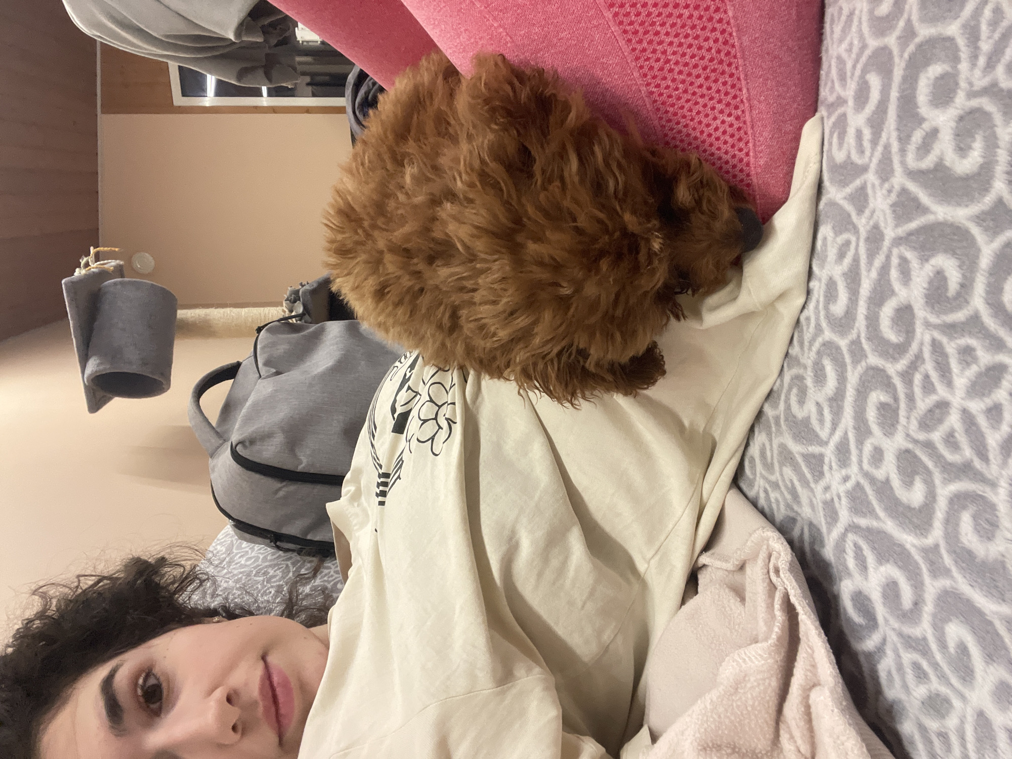 A woman lies on a gray patterned couch in an interior setting, her face visible in the lower left corner. Atop the couch, next to a pink cushion, a small, brown, furry dog rests. A light-colored t-shirt with a floral design is draped over the woman. In the background, a gray backpack hangs near a wooden wall. A cat climbing tree is visible in the background. The location appears to be indoors and based on the style of the furniture, it can be assumed that this is in the city of Sofia, Bulgaria.