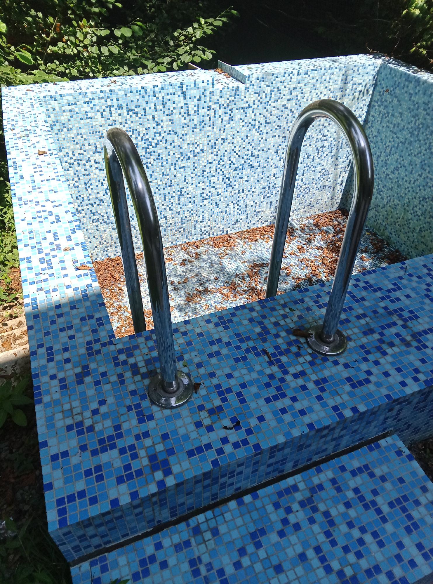 The image depicts an empty, tiled swimming pool in Pshap, Abkhazia. The pool is lined with small, blue and light blue square tiles. Two stainless steel handrails are installed on the steps leading into the pool. The bottom of the pool contains a layer of dry, brown leaves. Green foliage is visible around the edges of the pool, suggesting an outdoor setting. The scene appears to be one of neglect, as the pool is not filled with water and contains debris.