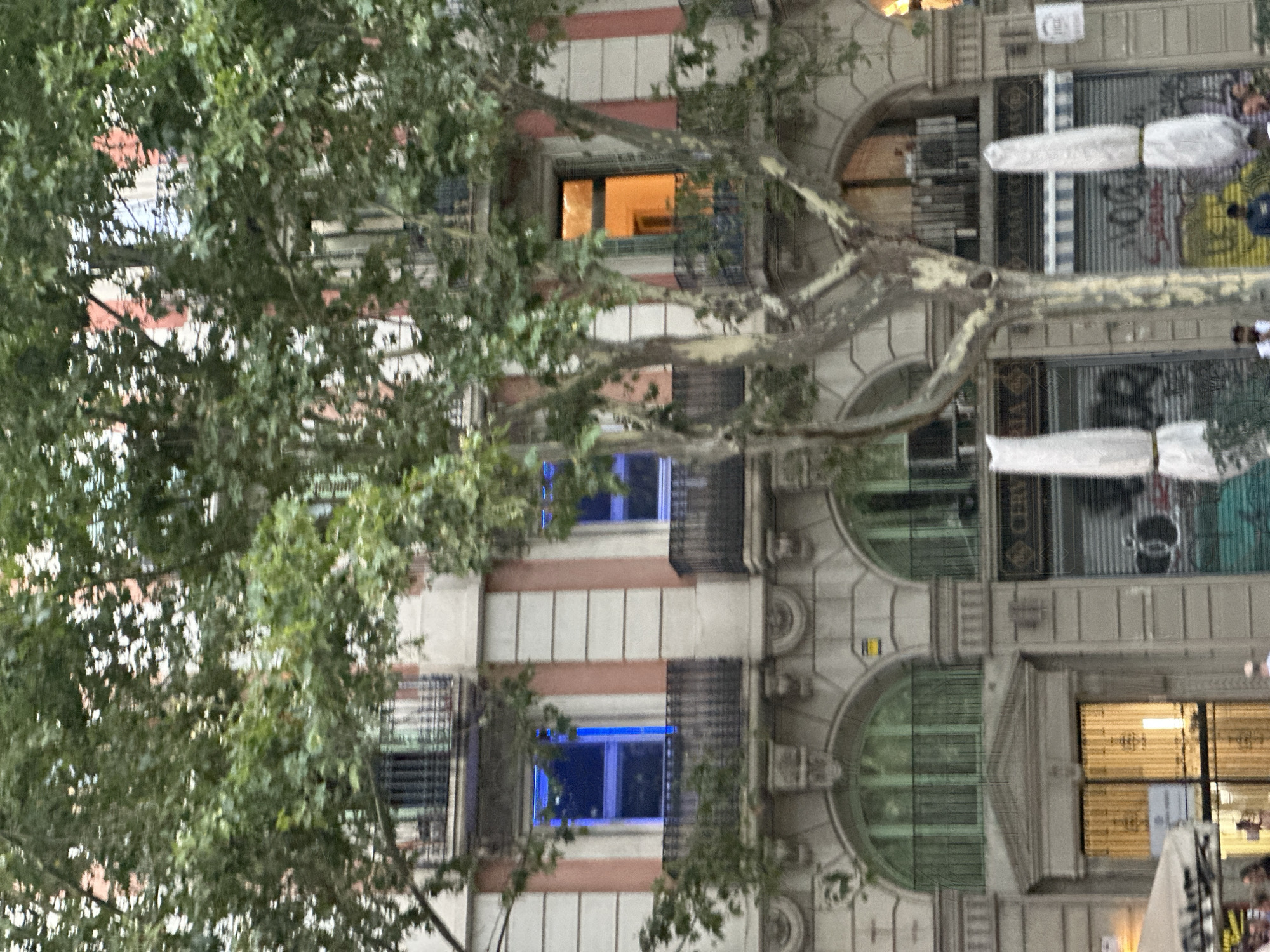 The image captures a street scene in Barcelona, Spain, focusing on the facade of a multi-story building adorned with trees. The building exhibits a light-colored stone exterior with vertical pink architectural elements. Several windows are visible, some illuminated with a striking blue light and one with a warm orange glow, suggesting interior lighting. Decorative balconies with wrought-iron railings are present on some floors.
Below the balconies, the ground level of the building appears to house shops, indicated by shuttered storefronts and awnings. One awning has a striped pattern of blue and white. Two tall, white-wrapped objects, possibly covered patio umbrellas or outdoor furniture, stand in front of the shops. Graffiti is visible on some of the shutters.
The foreground is dominated by the dense foliage of trees with large, visible trunks and branches that partially obscure the building. The lighting suggests it is either early morning or late afternoon, with soft, diffused light. A few individuals are discernible in the lower portion of the image, blurred due to motion or distance, indicating a public space. The overall impression is a European urban environment with a blend of architecture, nature, and commercial activity.