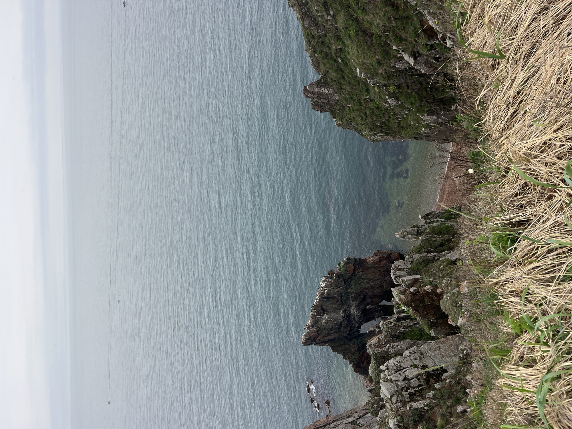 The image captures a view from a cliffside in Russkiy Island, Russia, overlooking the Sea of Japan. The perspective is downwards, showing the rocky cliffs and the open ocean. The cliffs are covered in vegetation, with dry grass visible in the foreground. Below the cliffs, the sea water appears relatively clear, revealing the rocky seabed and a small beach area. The sea surface shows ripples and waves, indicating slight wind and surface movement. In the distance, the horizon is visible under a cloudy sky. Several small boats are visible scattered across the water.