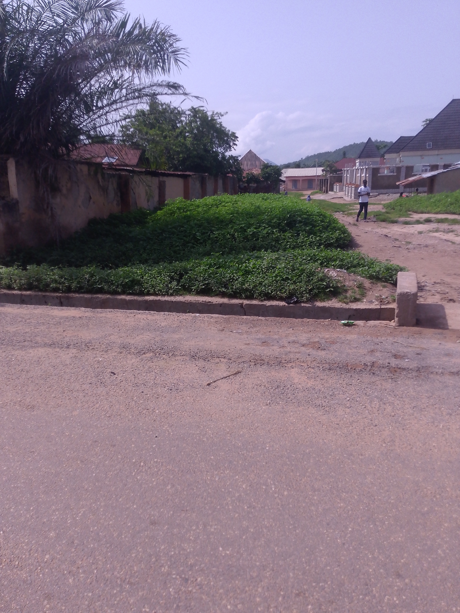 The image shows a street scene in Serti, Nigeria. In the foreground, a paved road occupies the lower half of the frame. To the left, a low concrete wall separates the road from a patch of dense green vegetation. Beyond the vegetation, a larger wall, likely made of stone or brick, runs horizontally across the midground, topped with what appears to be corrugated metal roofing. A palm tree with drooping fronds is visible on the far left, casting a shadow.
Further into the scene, a dirt path diverges from the paved road. A young man in a white t-shirt and dark trousers is walking on this path towards the right. Behind him, several buildings are visible, some with pitched roofs, suggesting a residential or commercial area. The architecture includes elements like decorative window surrounds and pitched rooflines. In the background, rolling hills are visible under a hazy sky with scattered clouds. The overall impression is of a dusty, semi-developed urban or peri-urban environment in a tropical or subtropical climate.
