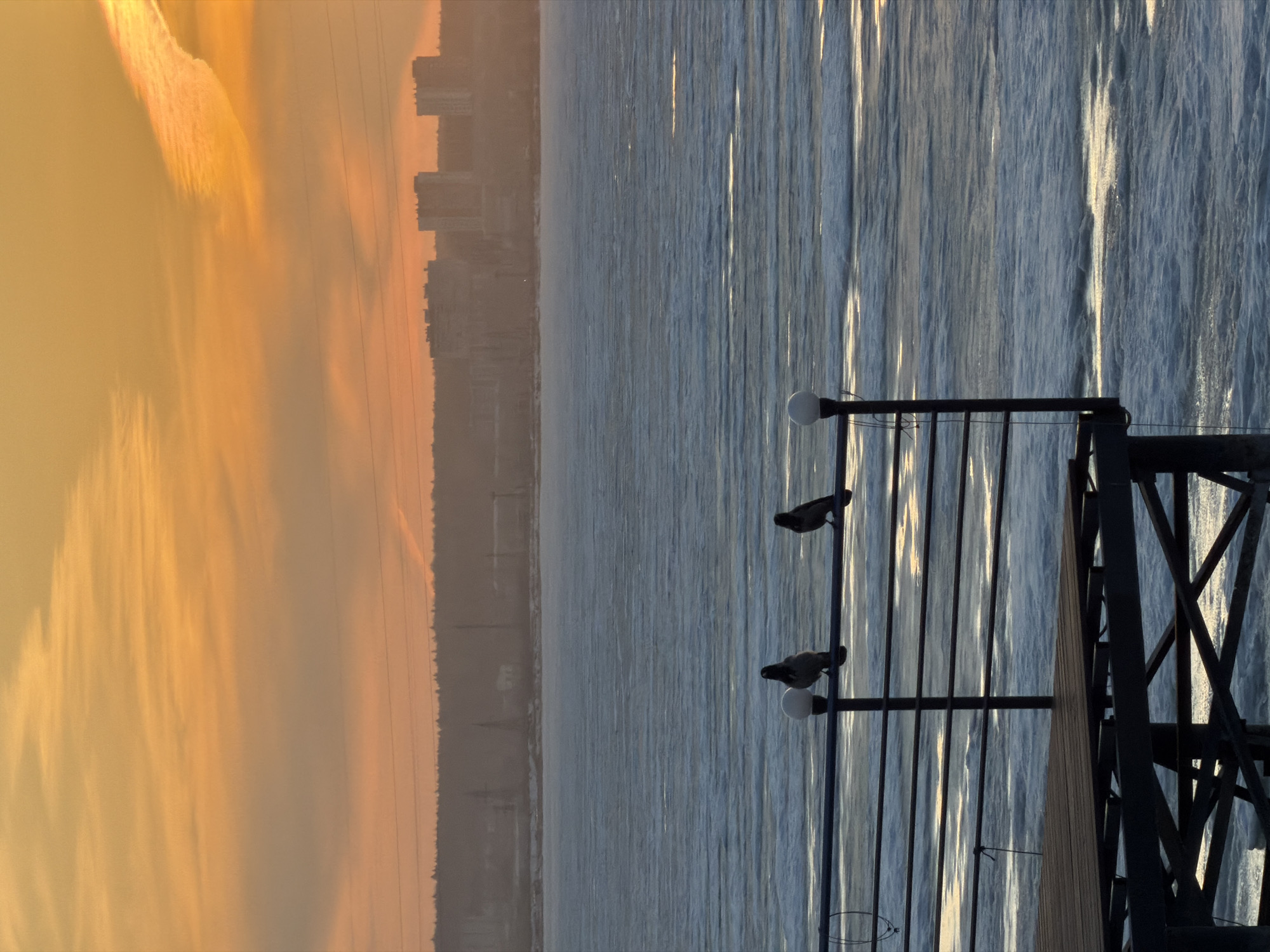 The image depicts a scene in Izhevsk, Russia, featuring a body of water adjacent to an urban area. The right side of the frame contains a metal railing structure with two birds perched on it. The water surface exhibits vertical streaks of sunlight reflection. In the background, a cityscape is visible. The sky displays a gradient of orange hues, indicative of either sunrise or sunset.
