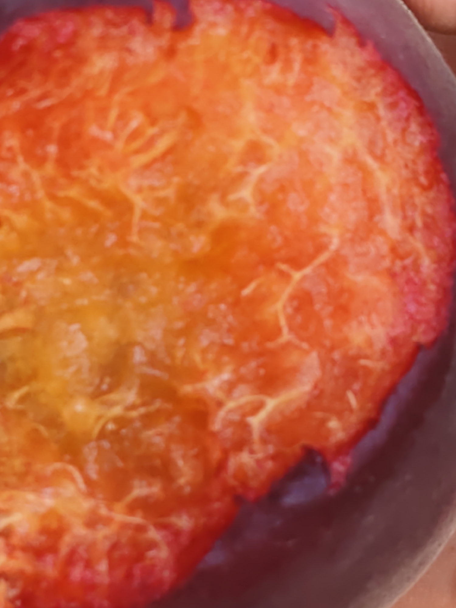 The image is a close-up, slightly blurry shot of a circular, bright orange object with a textured surface. The texture appears to be composed of irregular, web-like lines and lighter-colored speckles against a deeper orange background. The object is partially framed by a dark, possibly metallic, rim or container. There are no identifiable landmarks or contextual clues in the image to indicate its location in Nizhnedonskoy, Russia, or any specific environment. The focus is entirely on the texture and color of the object.