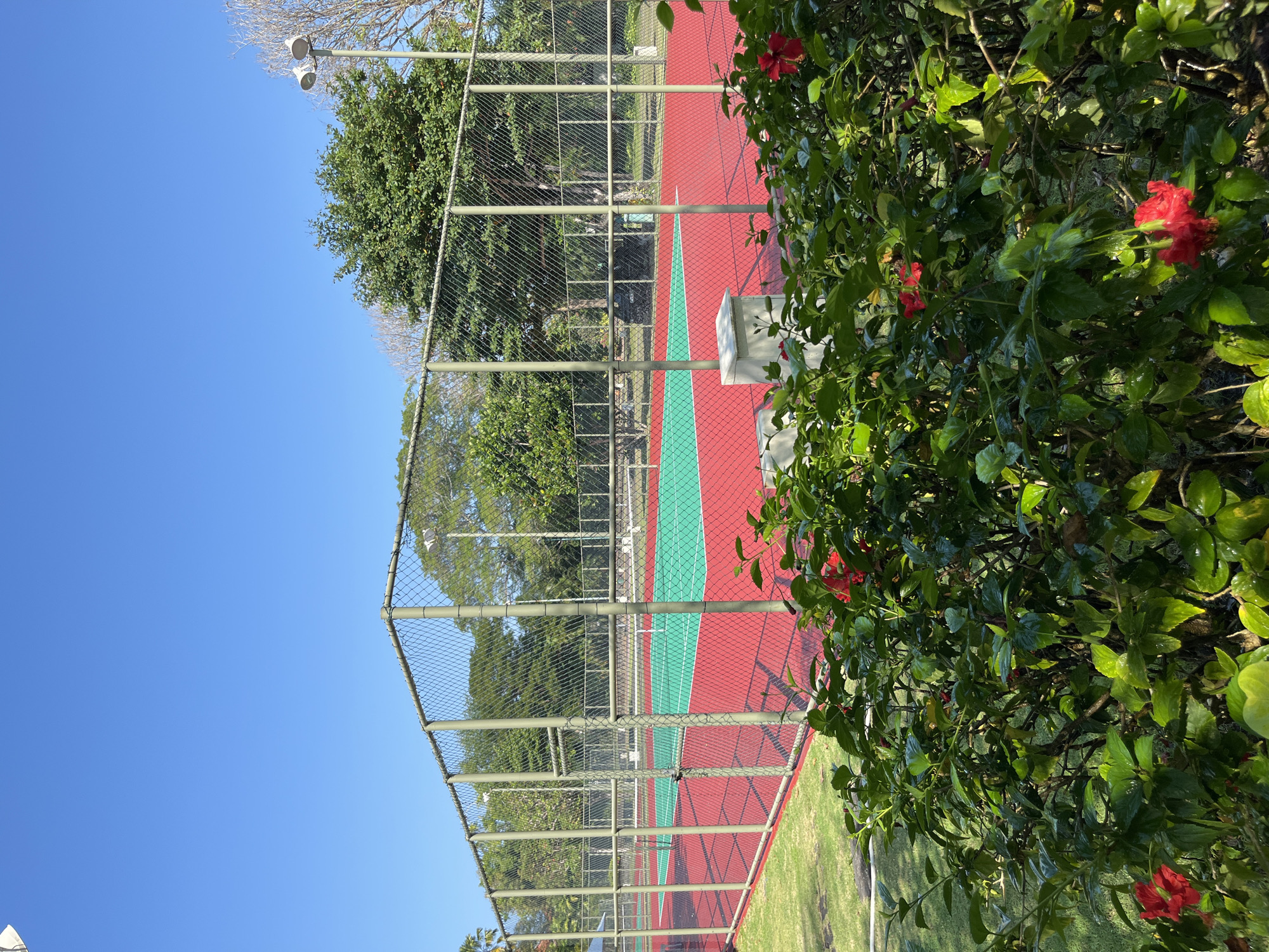 A vibrant tennis court with a red and green surface is enclosed by a chain-link fence under a clear blue sky. Lush green grass surrounds the court, and a dense bush with bright red hibiscus flowers in the foreground partially obscures the view. In the background, mature trees form a natural backdrop, and two lampposts stand tall, suggesting the court is equipped for night play. The scene is set in a bright, sunny environment, likely in a park or recreational area in Kuta Selatan, Indonesia.