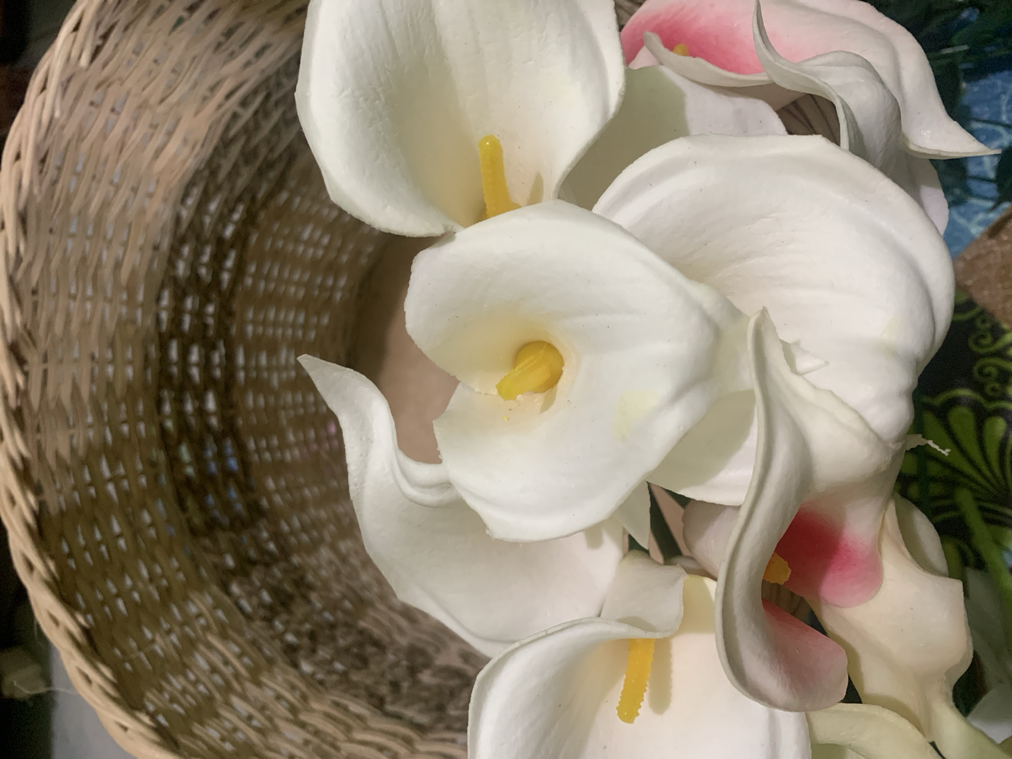 This media file features a close-up, overhead view of a wicker basket filled with artificial calla lilies. The basket is made of woven, light brown material, and its texture is clearly visible. The calla lilies are predominantly white, with yellow stamen protruding from their centers. Some of the lilies also display subtle pink hues at their edges, suggesting a variegated or blended color. The arrangement is dense, with multiple blooms overlapping each other. The background is dark and out of focus, with hints of green foliage and a patterned surface, possibly a tablecloth or decorative mat. The lighting appears to be indoor and soft, casting gentle shadows on the petals and basket. There are no people or discernible activities taking place, and no text is visible. The overall impression is a still-life arrangement of decorative flowers.