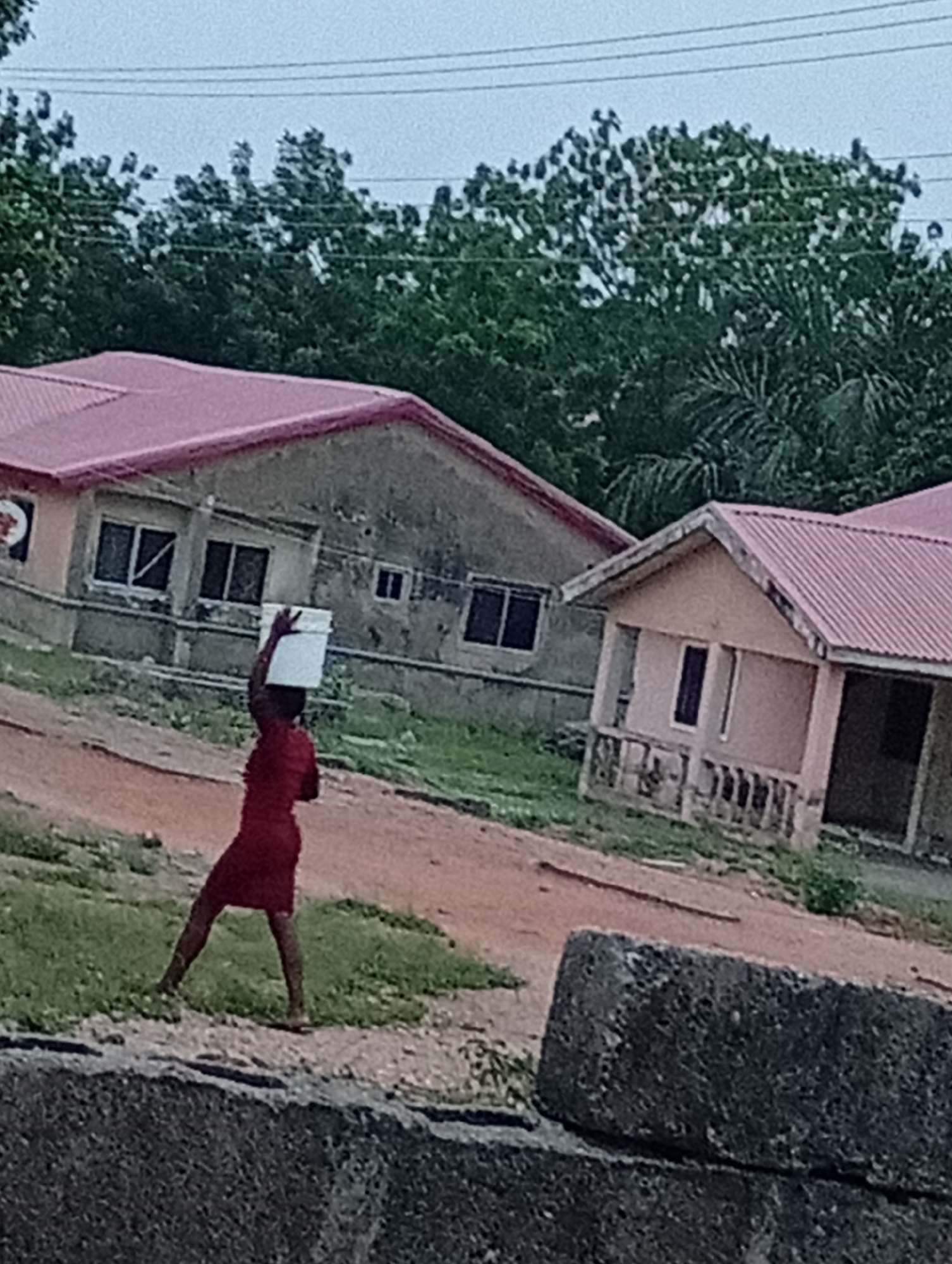 In Adankolo, Nigeria, a person in a red dress carries a white container on their head while walking on a dirt path. Two single-story buildings with pink roofs are in the background. The environment includes greenery, suggesting a rural or semi-rural setting. A concrete structure is visible in the foreground.