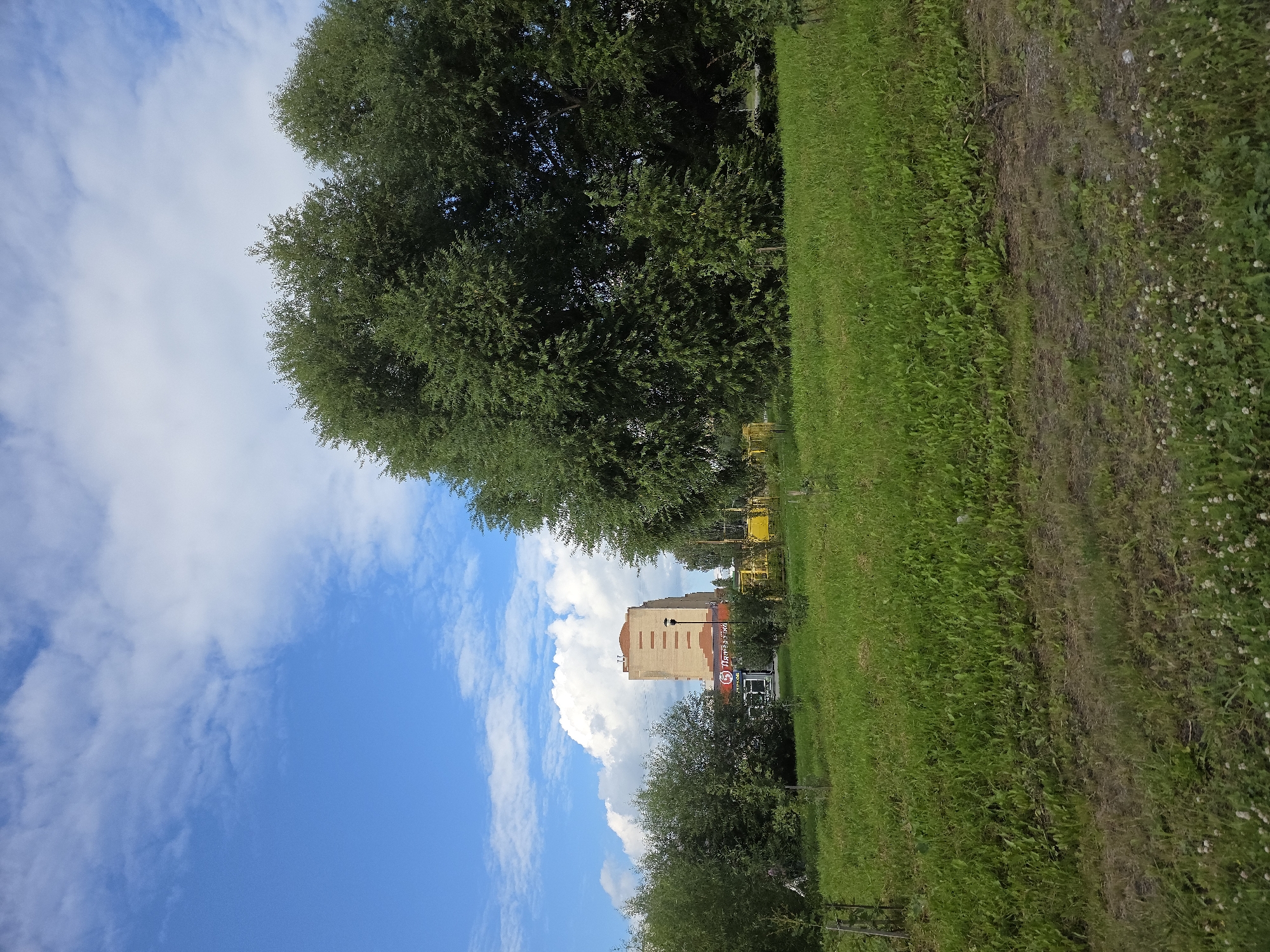 The image depicts a sunny day in Miass, Russia, with a clear blue sky dotted with white cumulus clouds. In the foreground, a lush green lawn stretches across the frame, with scattered small white flowers and some patches of dry grass. Behind the lawn, a line of trees and bushes forms a natural barrier. A tall, multi-story building with a brick facade stands in the middle ground, featuring orange accents and several windows. A sign with Cyrillic lettering and a circular logo is visible on the building. To the right of the building, a yellow structure, possibly a fence or playground equipment, can be seen. In the background, large, dense green trees dominate the right side of the image, their leaves rustling gently in the breeze. The overall scene suggests a pleasant urban park or residential area on a bright summer day.