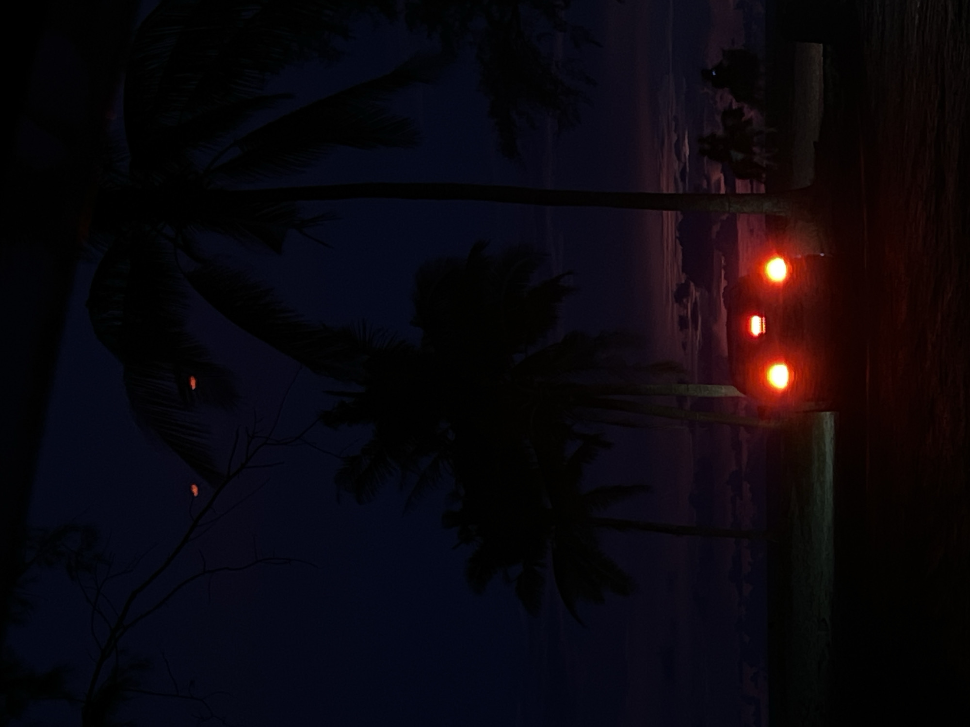 The image shows a dark, twilight scene with palm trees silhouetted against a purplish-blue sky. A car with its red taillights illuminated is parked in the foreground, facing away from the viewer. The car's headlights are also on, casting a glow on the dark ground in front of it. Two figures on horseback are visible in the background, further back from the car and also silhouetted against the sky. The ground appears to be sandy, suggesting a beach or coastal location. The overall mood is quiet and serene, with a hint of mystery due to the darkness and the presence of the lone car and distant riders.