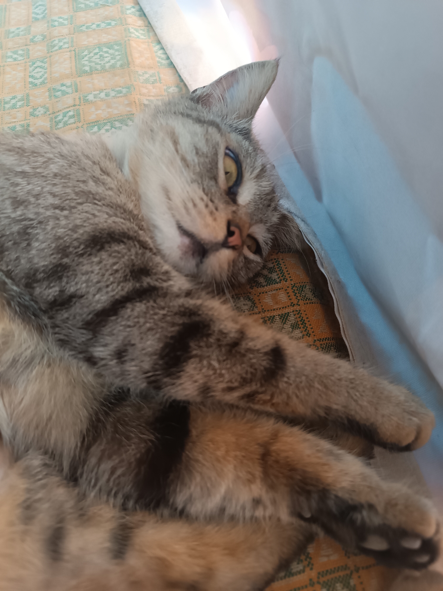 A tabby cat is lying down on a surface with a patterned cloth. The cat is on its side, with its paws crossed and its head resting slightly upwards. Its eyes are open and looking towards the camera. The background is a light blue, soft fabric, possibly a blanket or curtain, casting a shadow. The patterned cloth beneath the cat has a design of interlocking geometric shapes in shades of orange, yellow, and green. The scene is indoors, suggesting a home environment. There is no indication of the location being specifically in Vypasne, Ukraine.