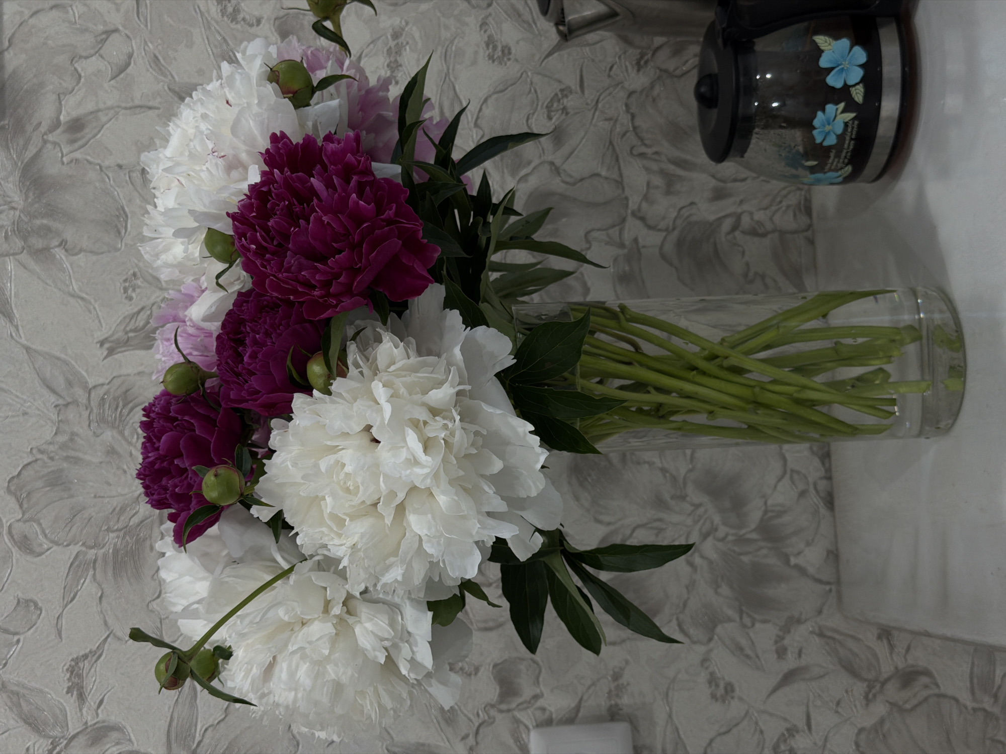 A bouquet of peonies in various shades of white and deep pink is arranged in a clear glass vase. The vase sits on a white surface, possibly a countertop or table. The background features a light-colored wallpaper with a subtle floral pattern. To the right of the vase, a black coffee maker with a glass carafe decorated with blue flowers is visible. The overall scene appears to be set indoors, likely in a domestic environment. There are no people or animals depicted in the image.