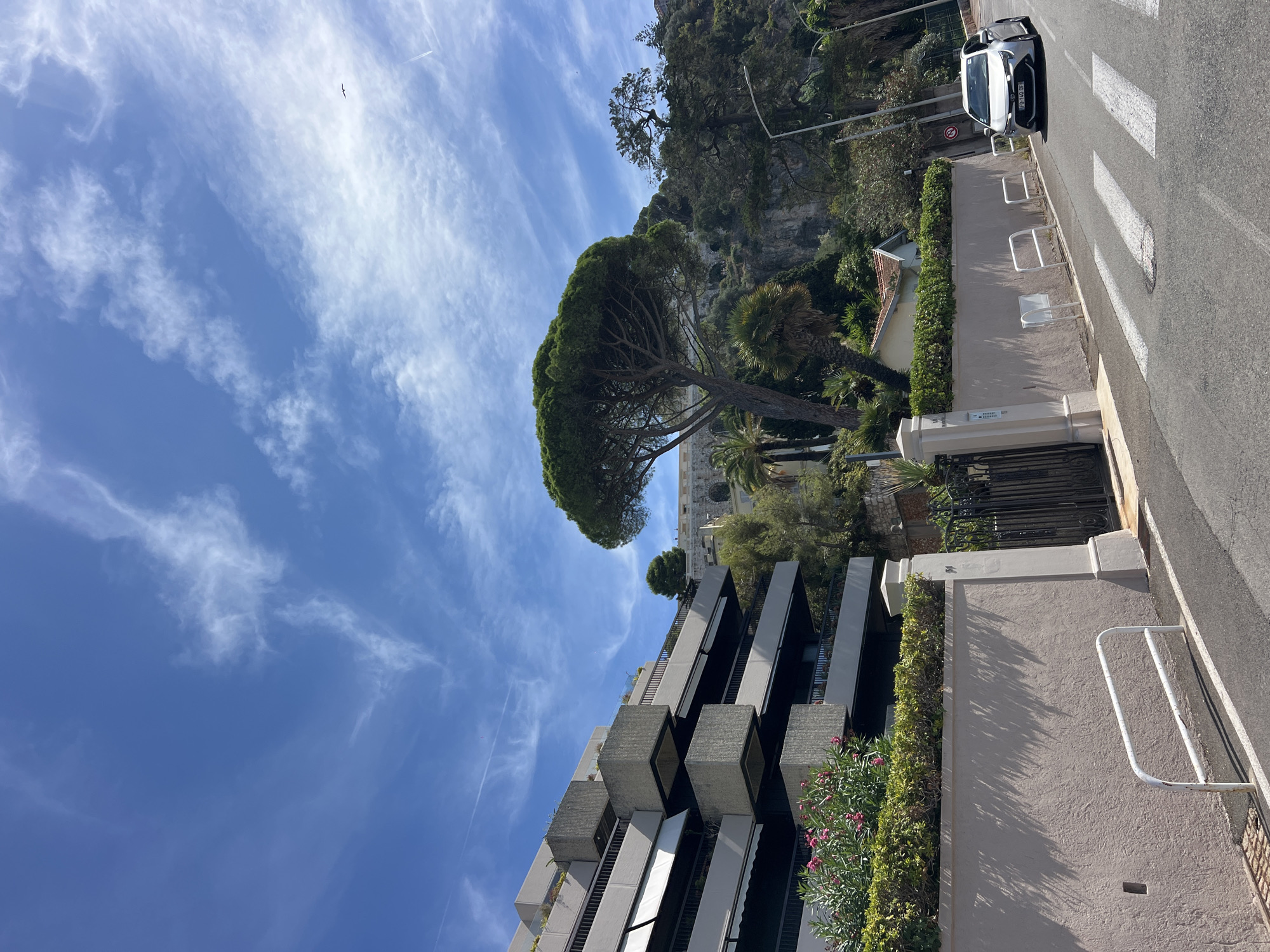 The image shows a street in Nice, France, with a white sedan driving on the right side of the road and a pedestrian crossing. To the left of the road, there is a modern building with cantilevered balconies and lush greenery. Behind the building, a large pine tree stands tall against a bright blue sky with wispy clouds. The background features a rocky hillside with vegetation and some architectural structures, suggesting a Mediterranean setting. The street appears to be paved with asphalt, and there are white lines indicating traffic lanes and a pedestrian crossing. The lighting suggests it is daytime, with clear visibility and shadows cast by the trees and structures.