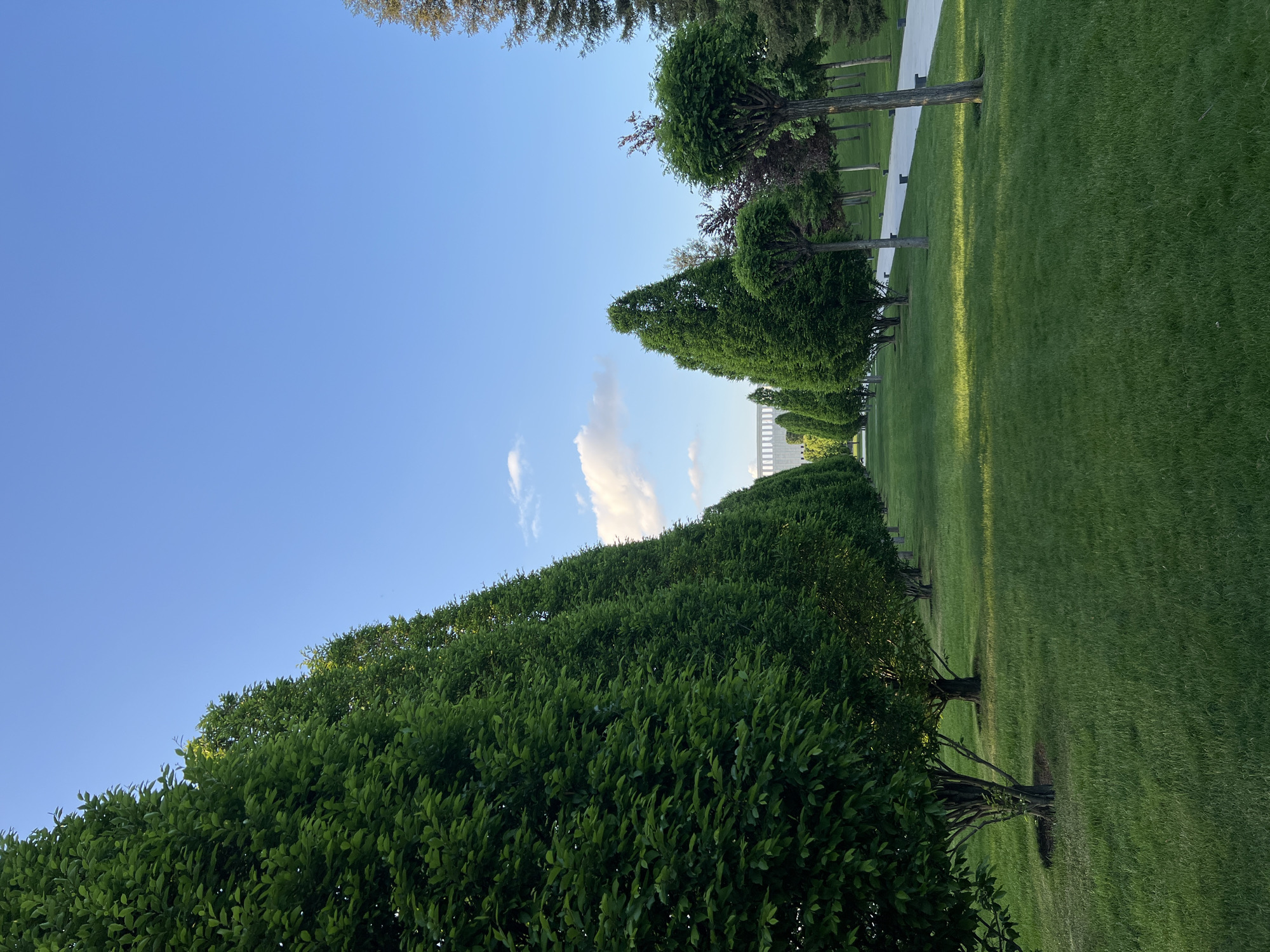 The image shows a row of neatly trimmed trees lining a grassy area, possibly a park or garden. The trees are mostly shaped into geometric forms, either rectangular or spherical. A white structure can be seen in the distance. The sky is clear blue with a few scattered clouds. The photo was taken in Krasnodar, Russia.