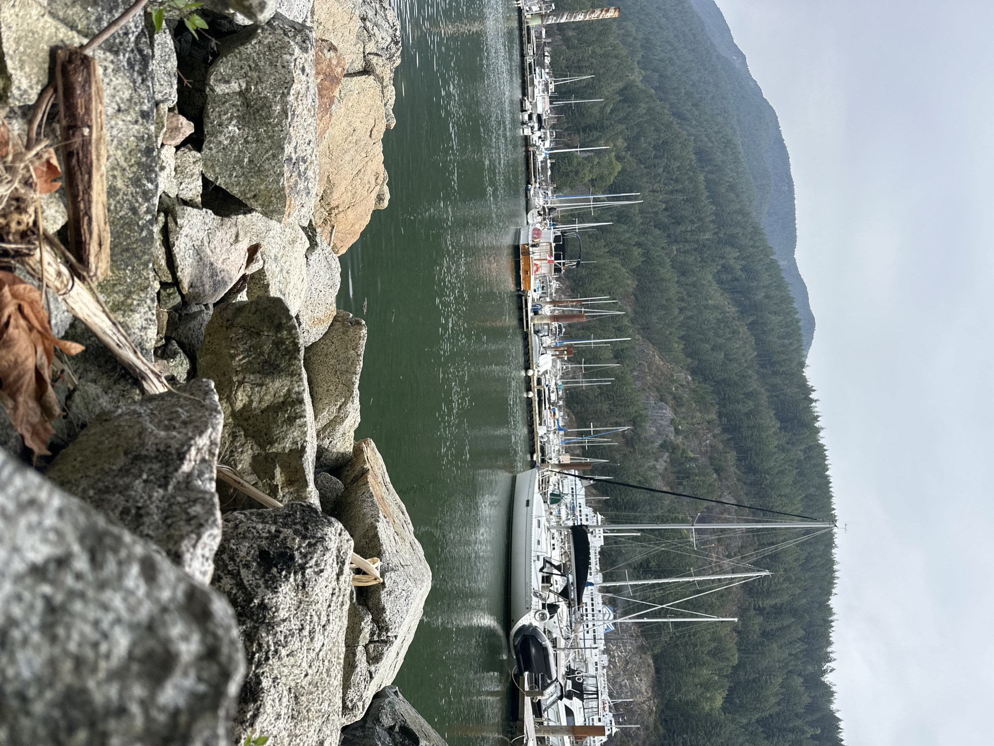 The image depicts a harbor scene with numerous sailboats and a few motorboats docked. The water is a deep green color, and a wooded mountain range with a cloudy sky serves as the backdrop. In the foreground, a pile of large, rough-hewn rocks and some dried leaves are visible, suggesting a natural shoreline. Several tall masts of sailboats are prominent against the mountainside. The overall atmosphere is one of calm and natural beauty.