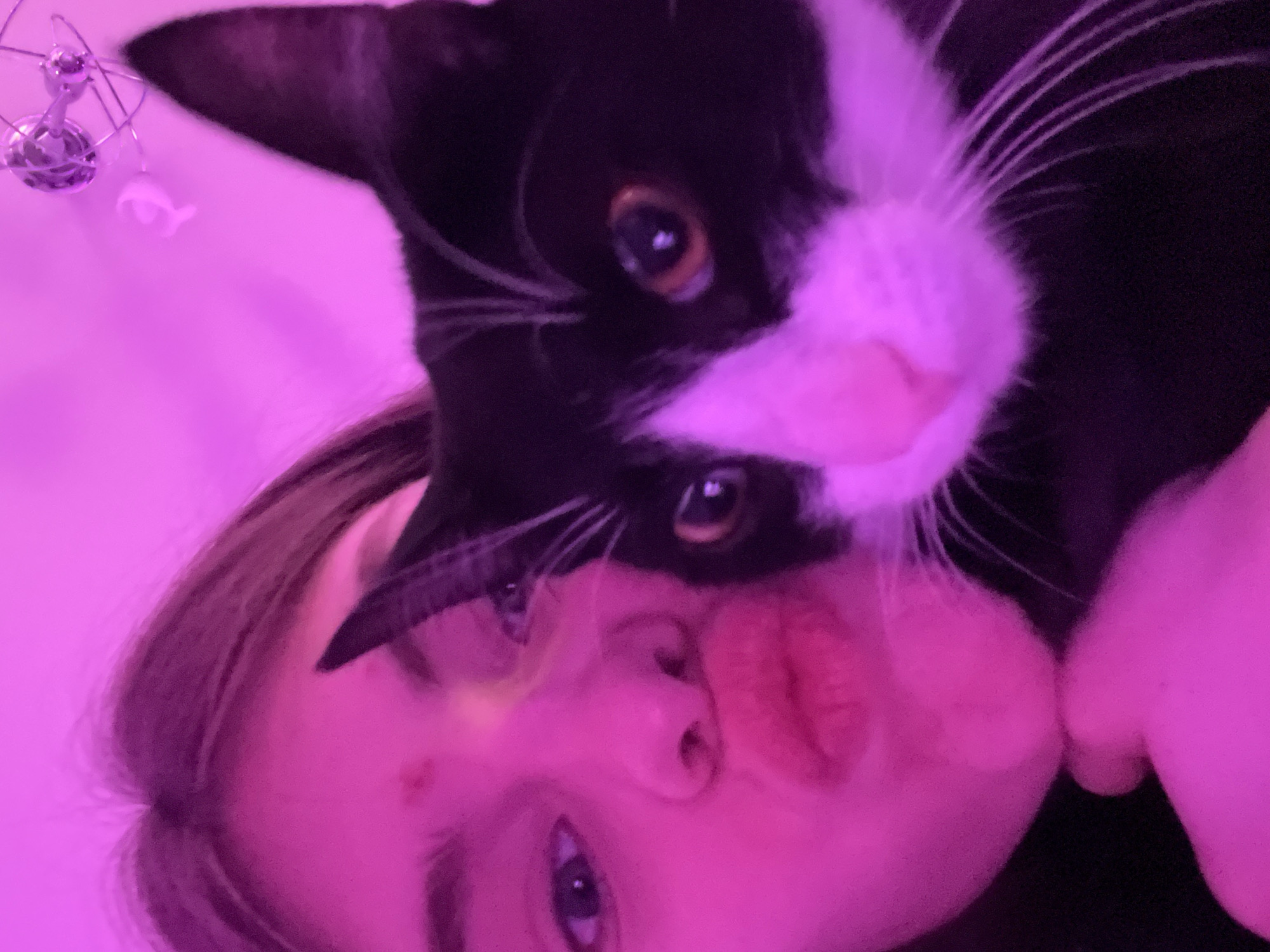 This close-up, angled portrait features a person and a black and white tuxedo cat, bathed in vibrant magenta lighting. The person, likely a young female, is positioned horizontally or at an angle in the lower part of the frame. Her face is visible, with eyes looking towards the camera and lips pursed in a "duck face" or kissing pose. A small red mark is noticeable on her cheek. Above her face, a black and white tuxedo cat is prominently featured, gazing directly at the camera with large, bright orange-yellow eyes. The cat has a pink nose, pronounced white whiskers, and a distinctive white chin and chest.
The scene captures an affectionate and playful interaction, with the cat positioned intimately close to the person's face. In the top-left corner, a small, metallic decorative object, possibly a miniature chandelier or mobile, with thin wires and a dangling white ornament (vaguely resembling a dolphin or fish), is visible against the magenta backdrop. The strong, artificial pink/purple illumination suggests an indoor setting, likely in the evening or at night. The overall mood is intimate and loving. There is no visible text in the image. The location context for this scene is Saint Petersburg, Russia.
