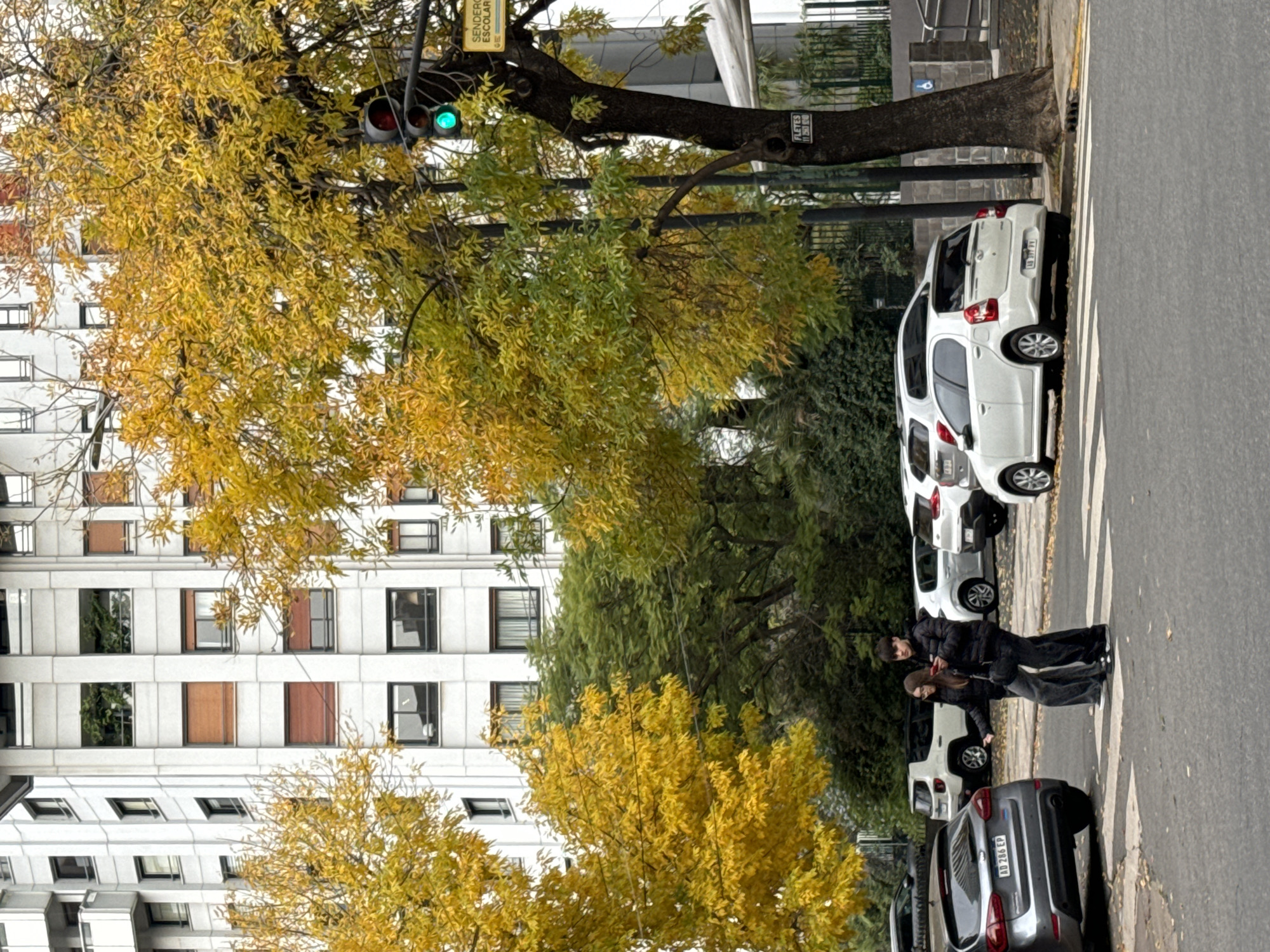 The image shows a street scene in Buenos Aires, Argentina, characterized by autumn foliage. A tall building with multiple windows forms the backdrop. Trees with yellow leaves are prominent on the left side of the frame. A traffic light is visible, showing a green light. Several parked cars line the right side of the street. Two people stand on a crosswalk near the parked cars. Signage is present on the tree near the traffic light and on the street sign, in Spanish.